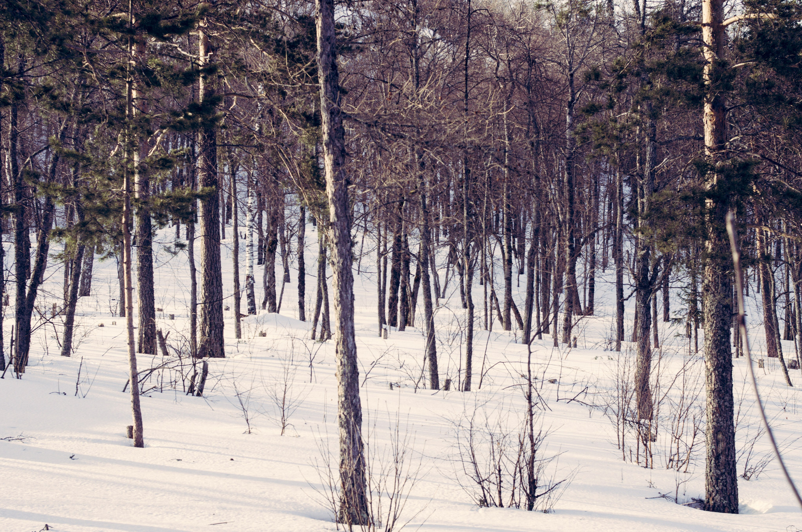 Фото с походов на Айгир — Время приключений