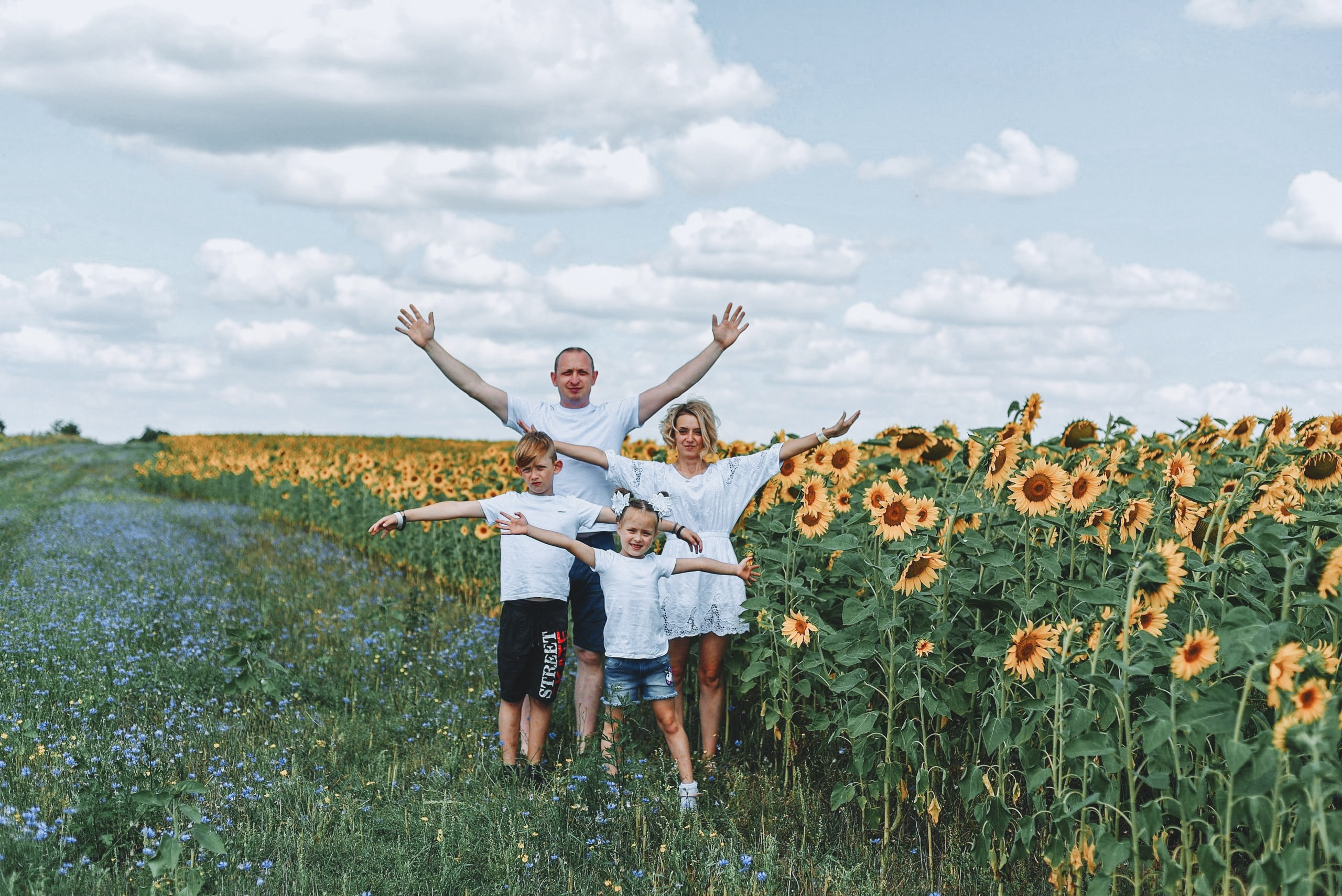 Подсолнухи. Детский и семейный фотограф Ирина Баранова