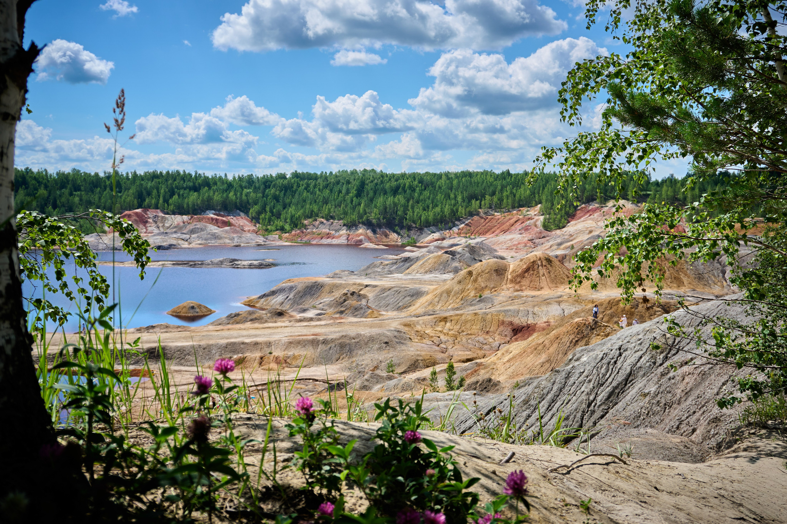 Репортаж/Портреты. …