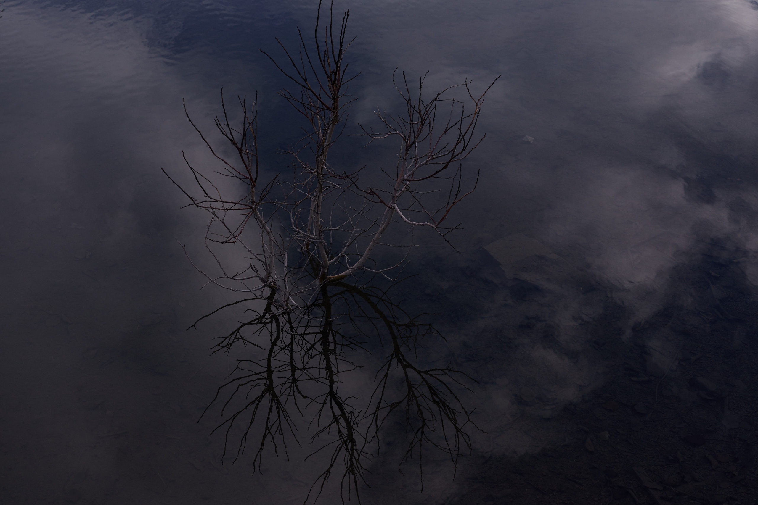 Кировск. Портретный фотограф в Москве Тимур Мансуров