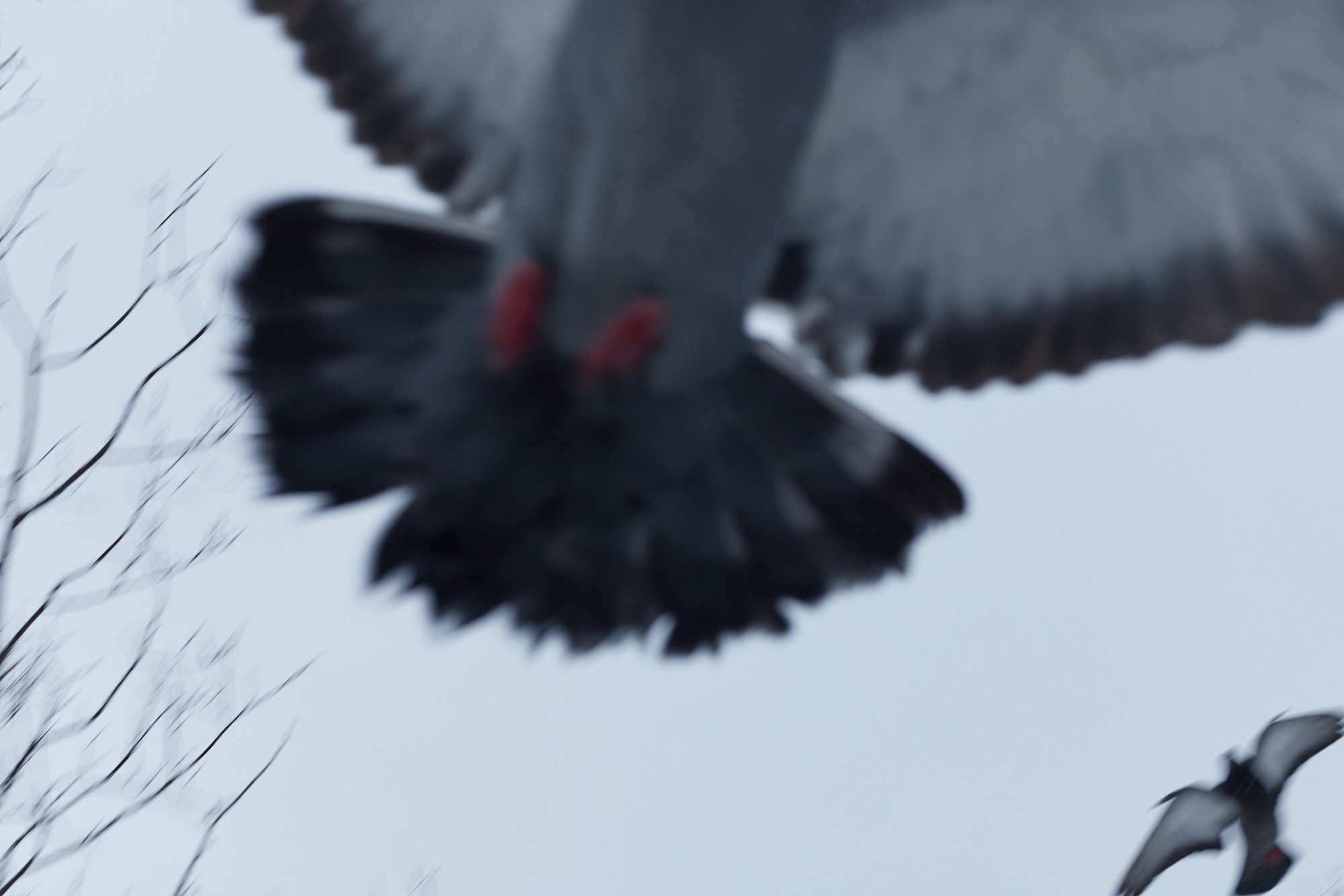 Кировск. Портретный фотограф в Москве Тимур Мансуров