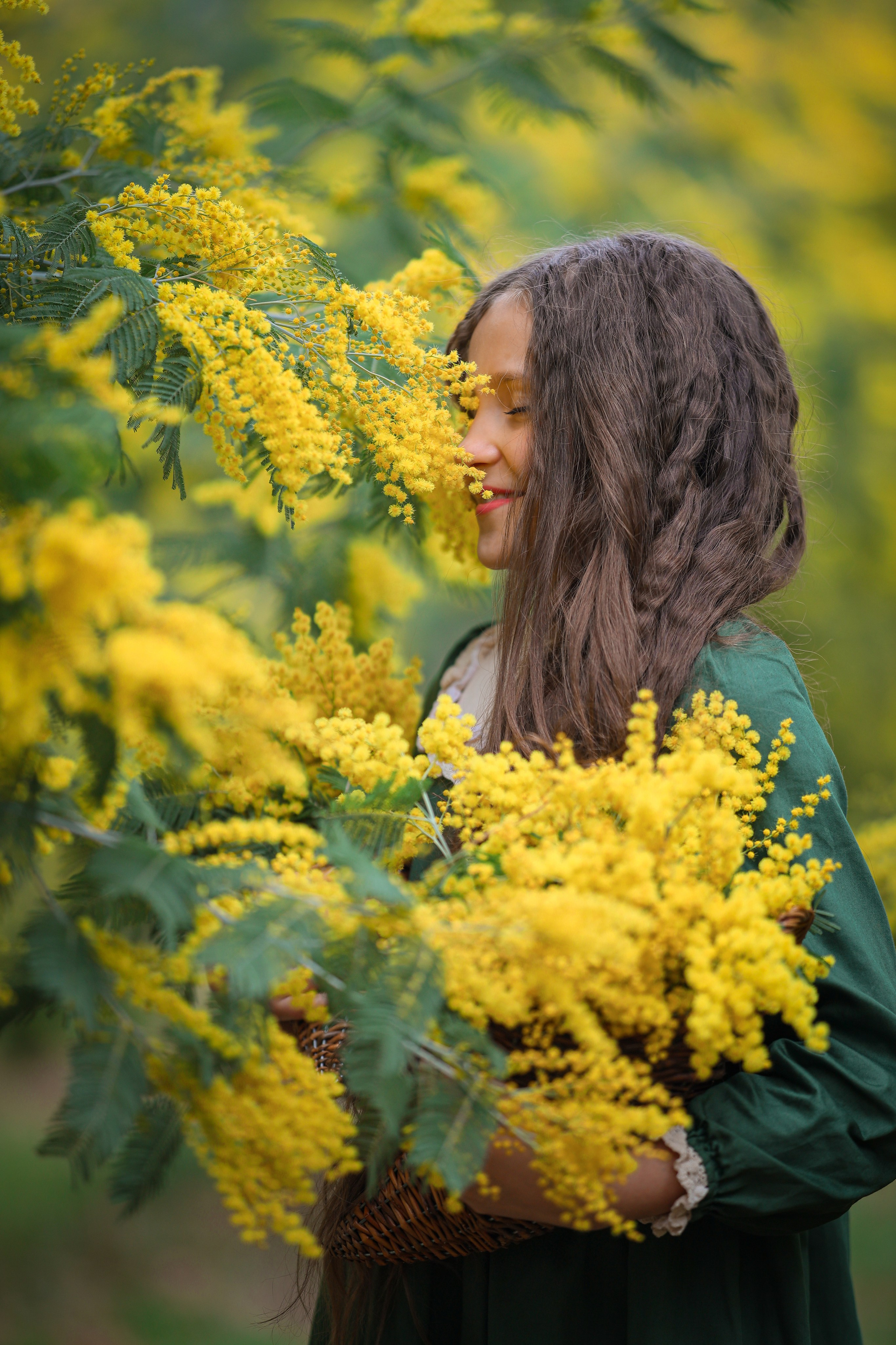 Фототур мимоза Абхазия