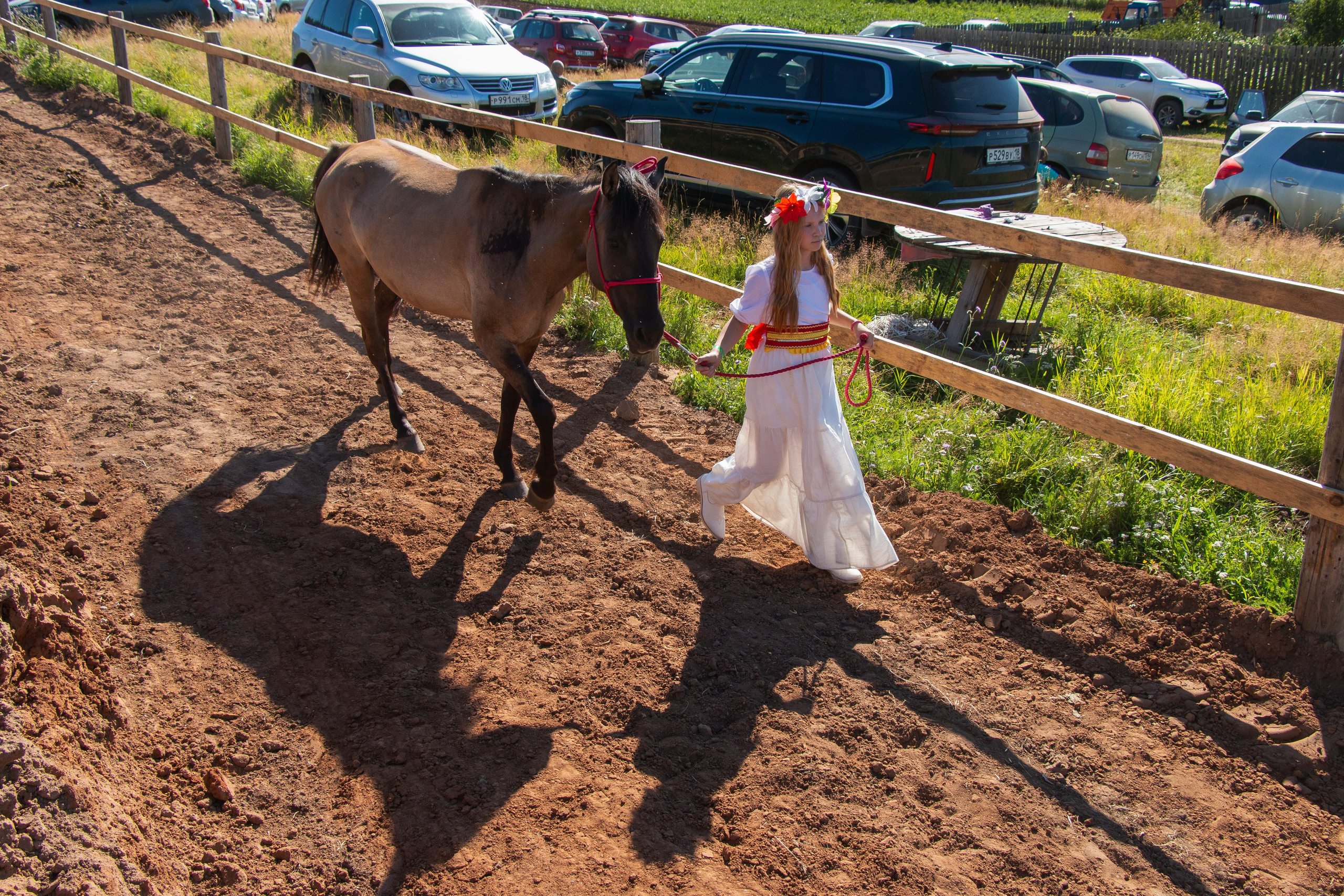 Конь-огонь 2025. Олег Романов. Мастер фото по спорту
