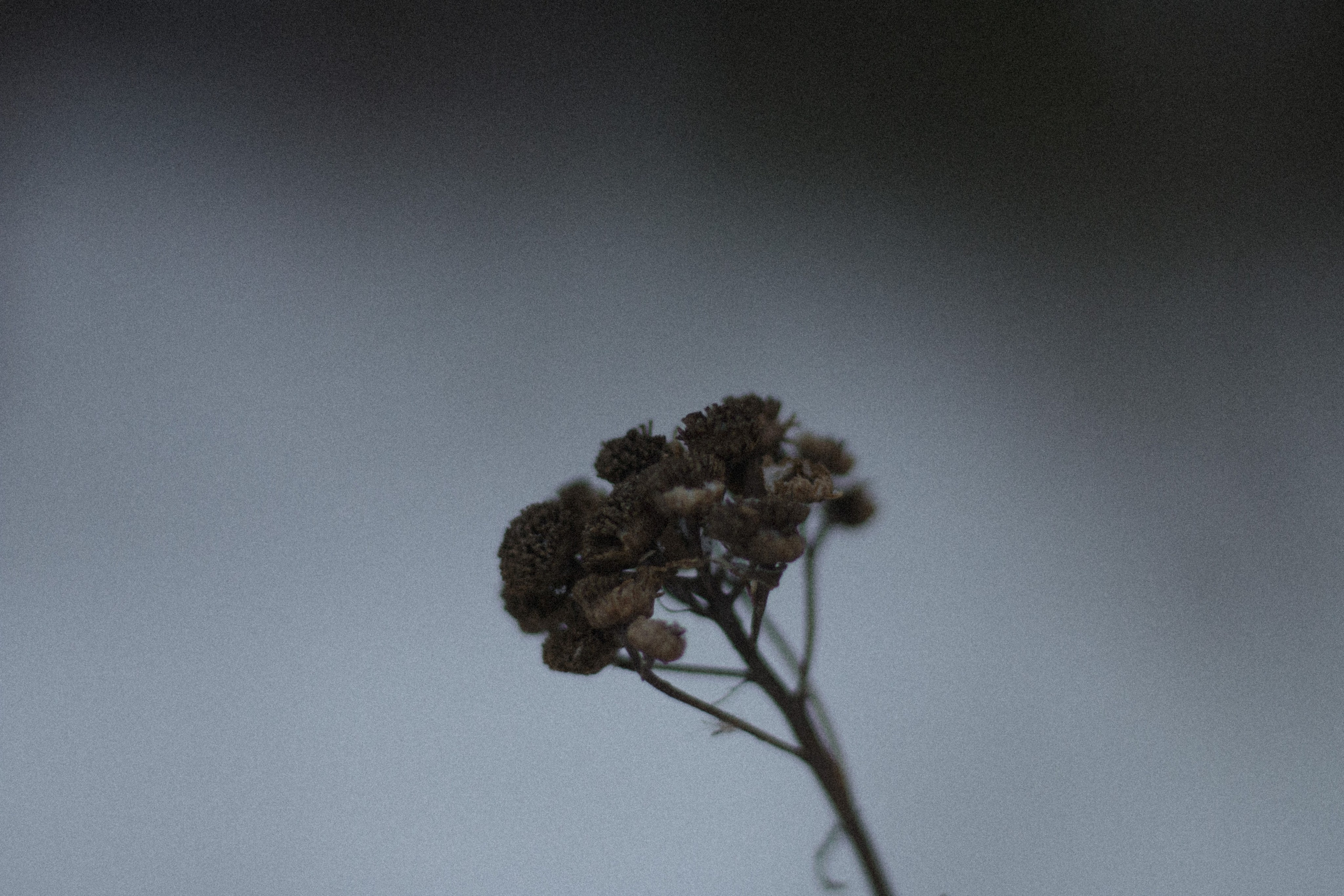 Интимный пейзаж. Олег Романов. Мастер фото по спорту