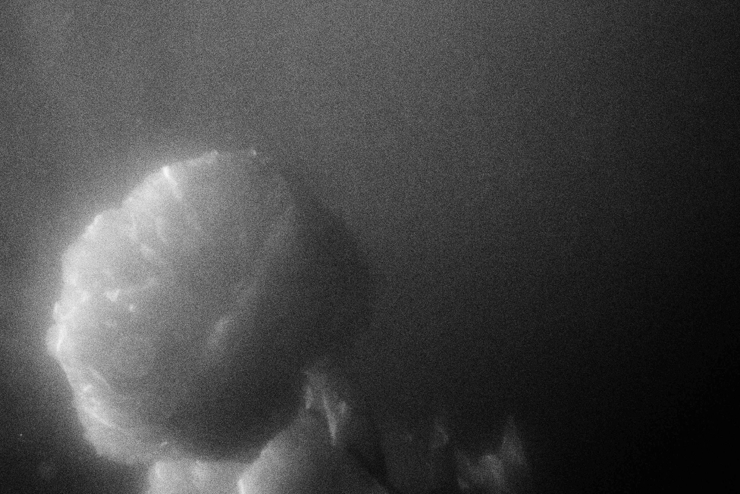 «Видеть. Чувствовать. Сохранять»