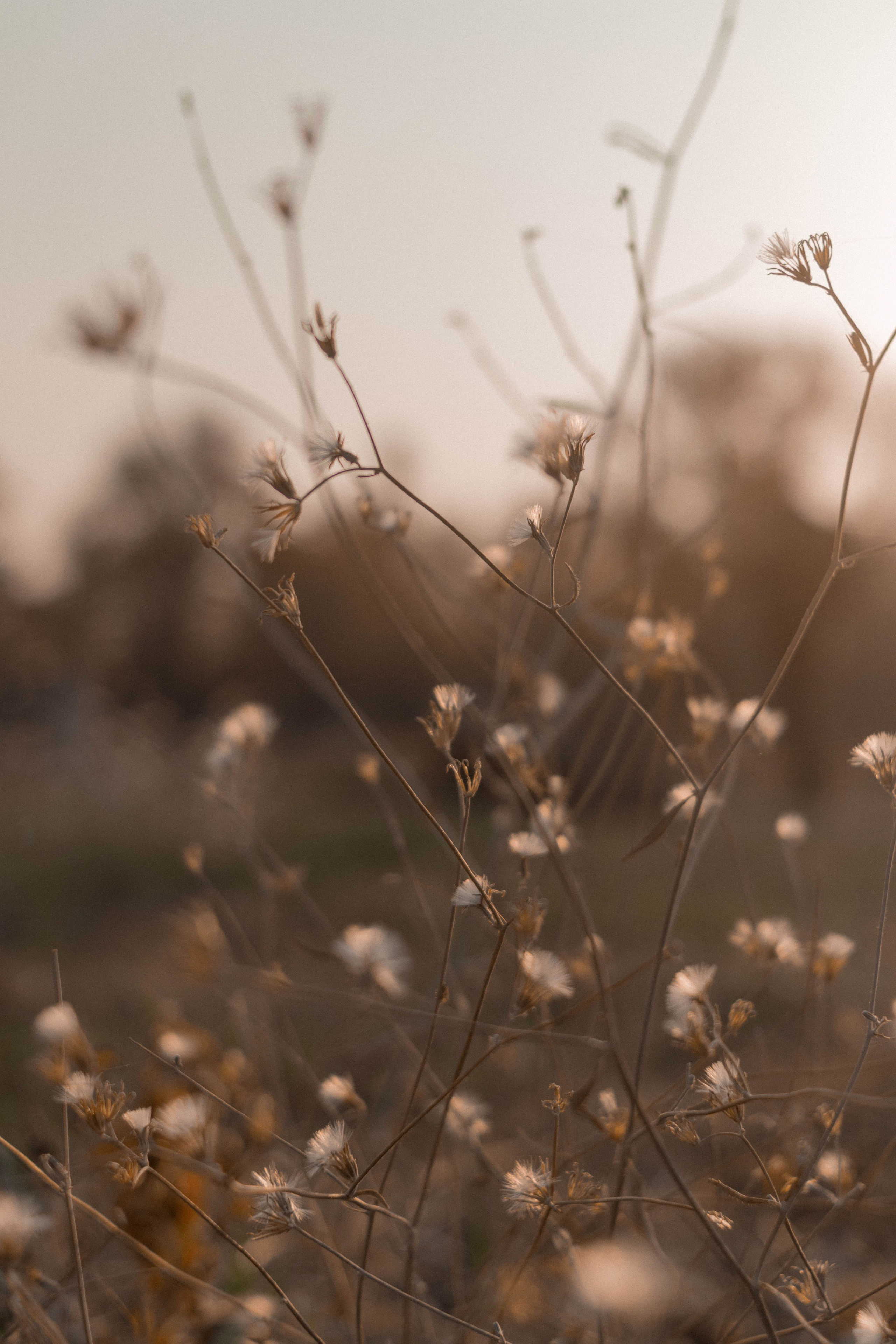 Визуальный дневник. Репортажный фотограф в Алматы Цой Сергей