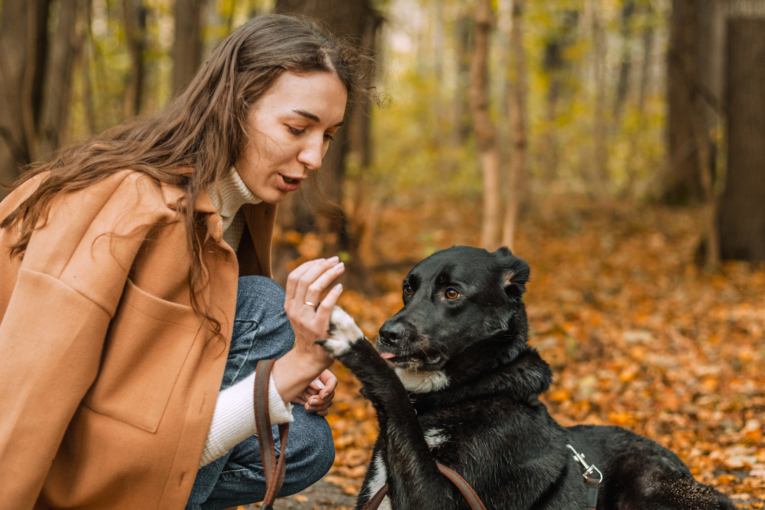 Юля и Фортуна. Фотограф-анималист Татьяна Степанова