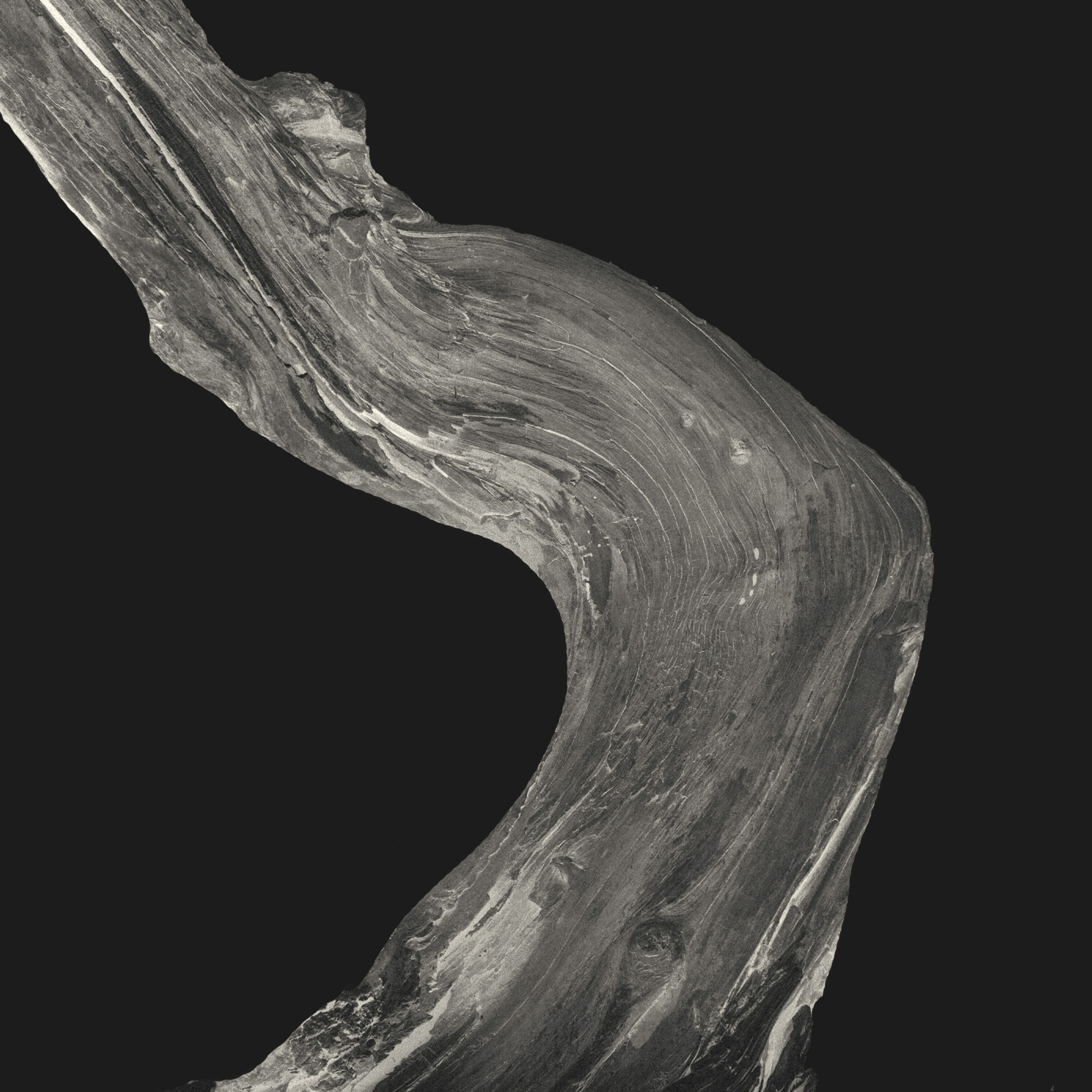 Монохромная и минималистичная фотография природы. Фотограф | Макс Коробкин