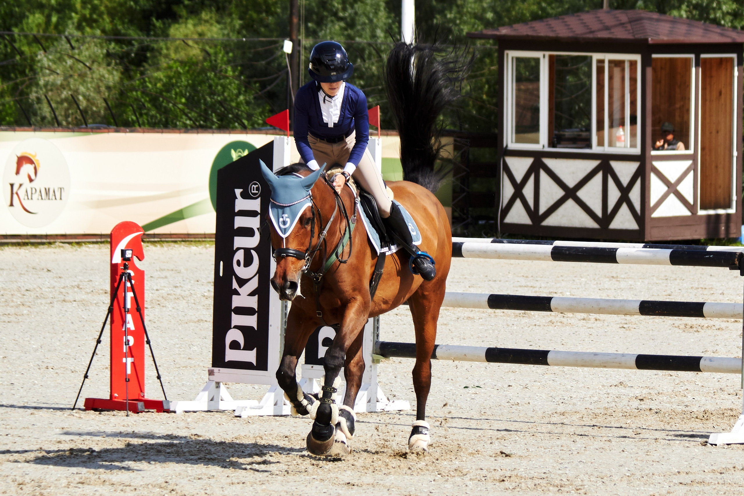 Конкур в «Виват, Россия». Фотограф анималист — Тула, Москва