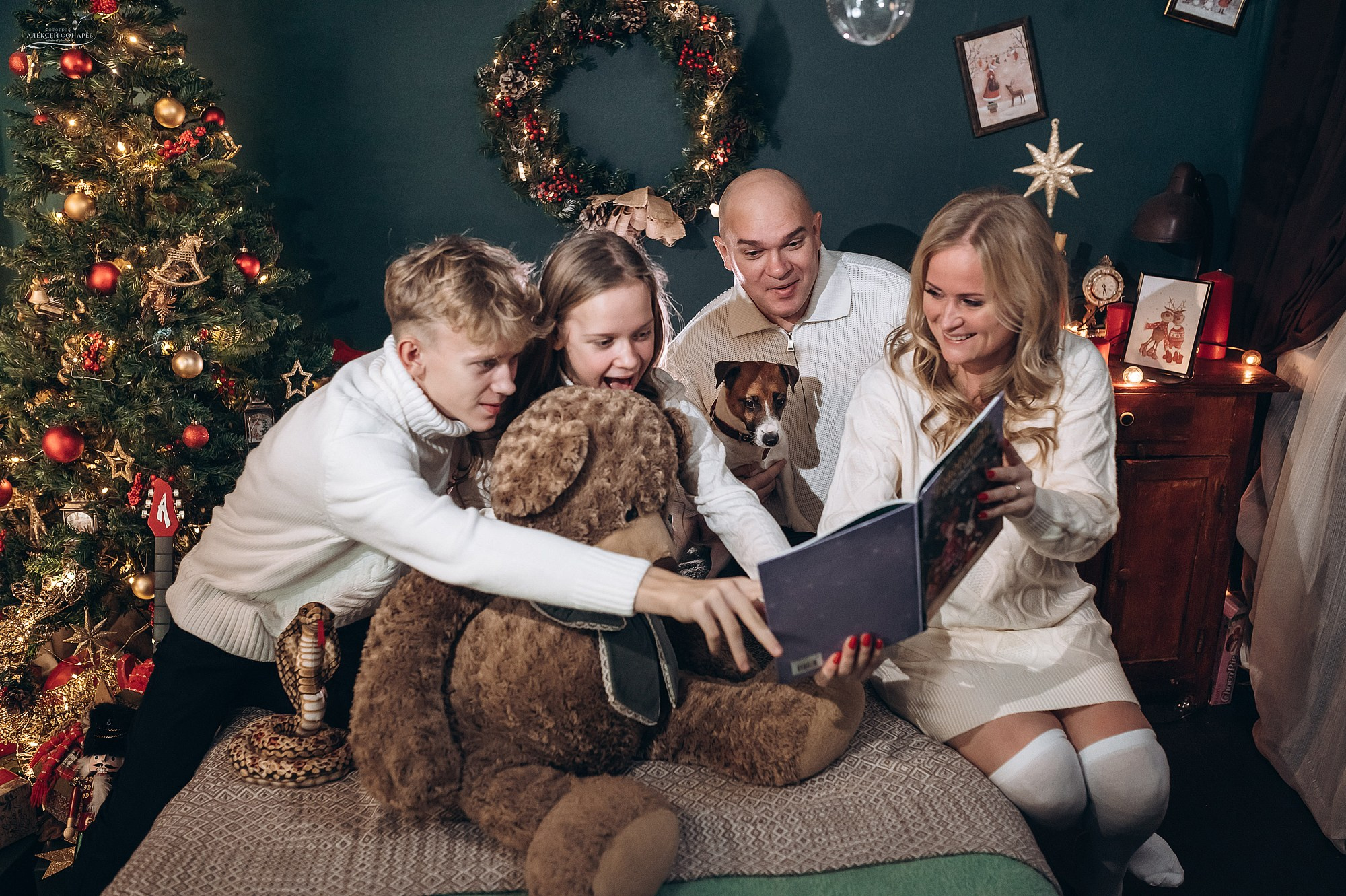 Семейный фотограф Талдом. Свадебный фотограф в Дубне Алексей Фонарёв