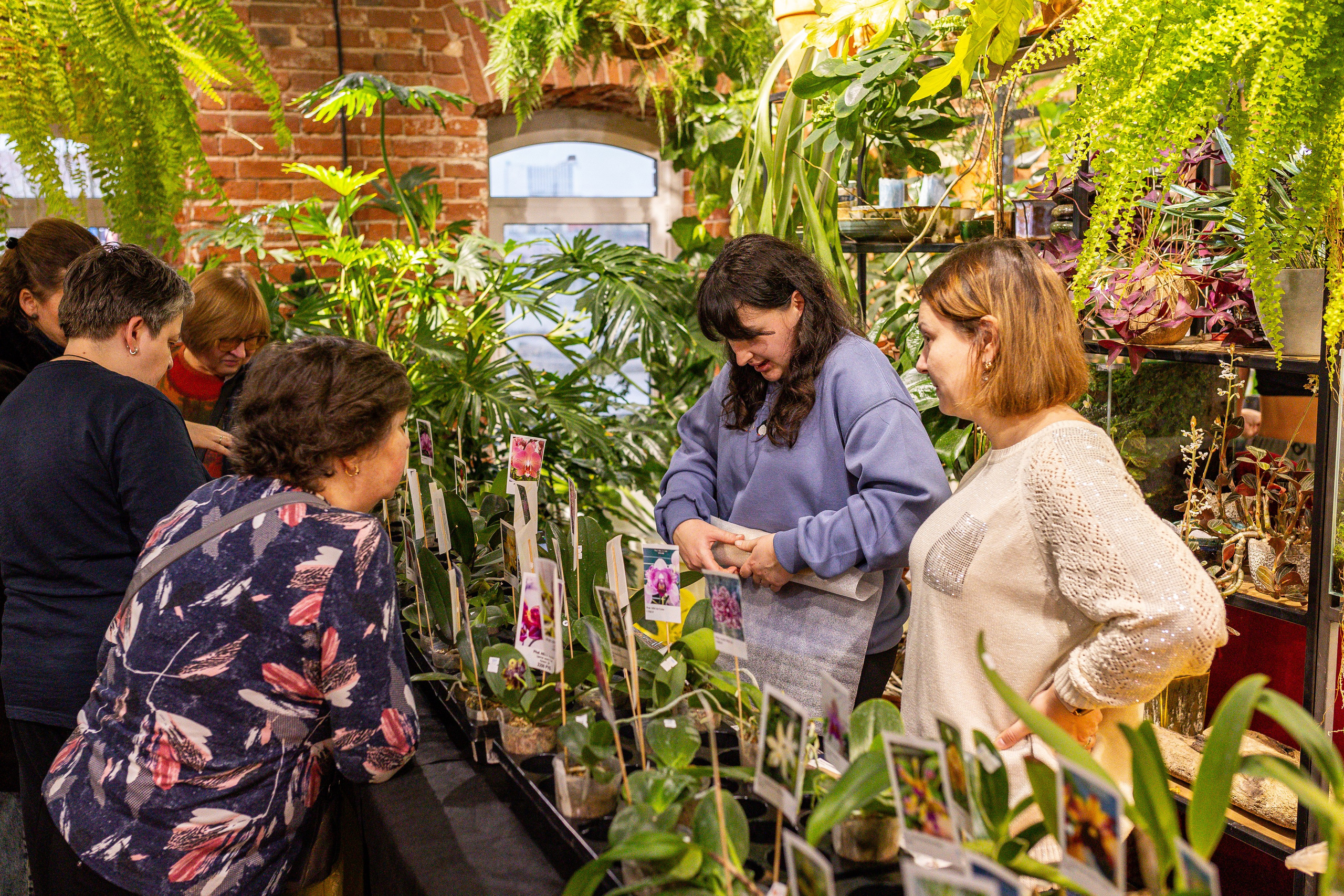Green_Rare Ярмарка февраль 2025. Александра Куликова фотограф, Москва