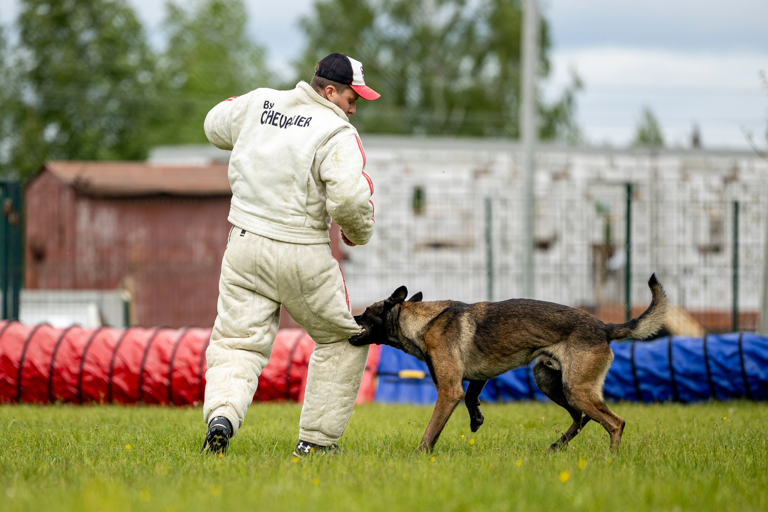 Испытания по мондьорингу в Нижнем Новгороде. Фотограф-анималист Анна Маринич