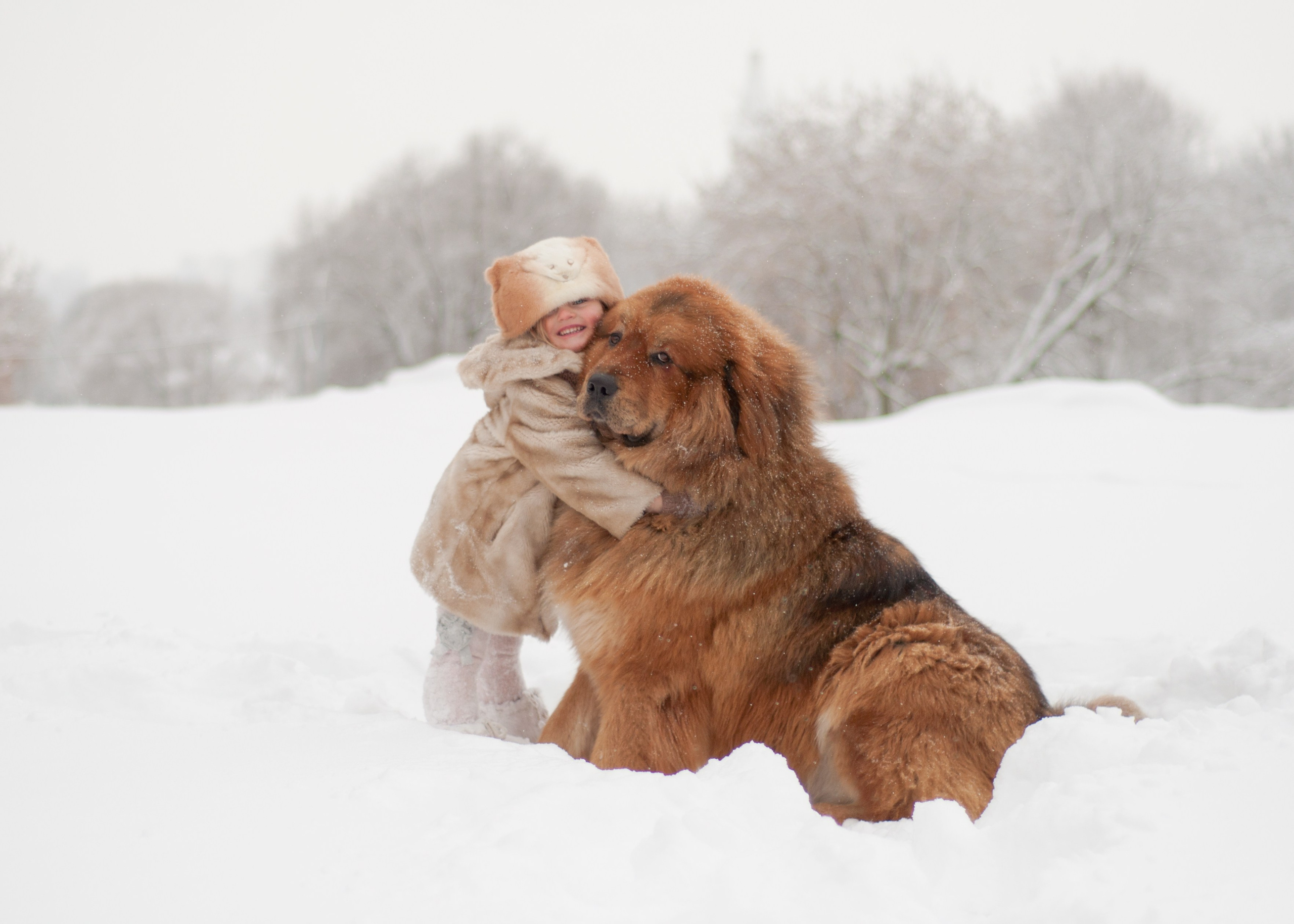 Семейная фотосессия Москва и Люберцы, цены. Фотограф в Москве и Люберцах, Валя Шикулина