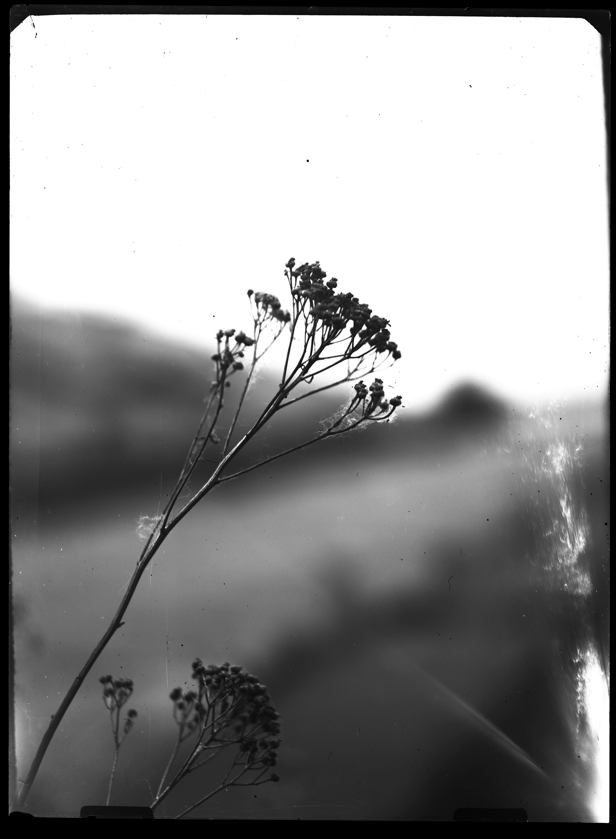 Glass plates. Darkroom aesthetics