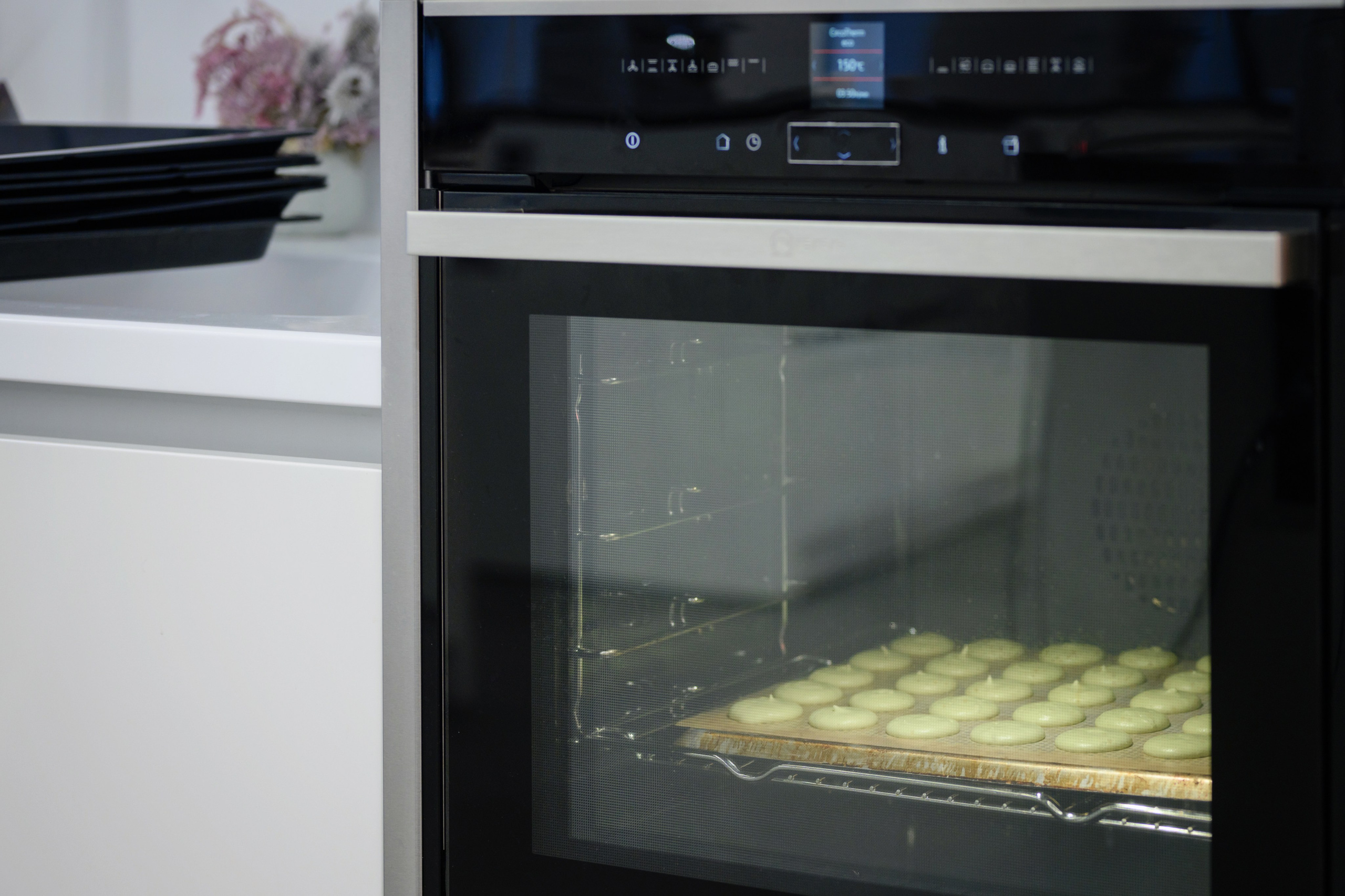 Kenwood. Семейный фотограф и анималист в Москве и Московской области