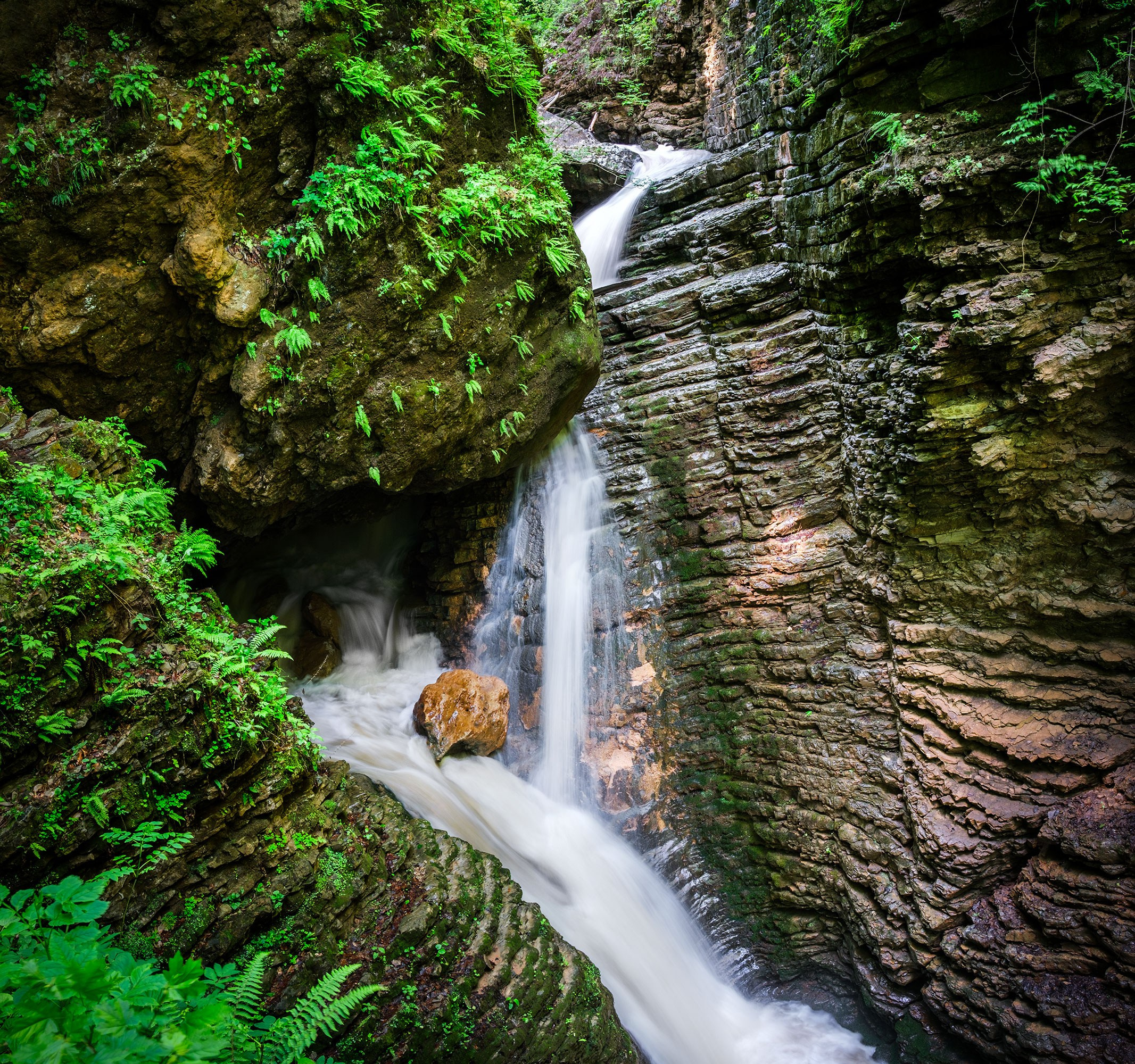 Свадебный фотограф в Геленджике