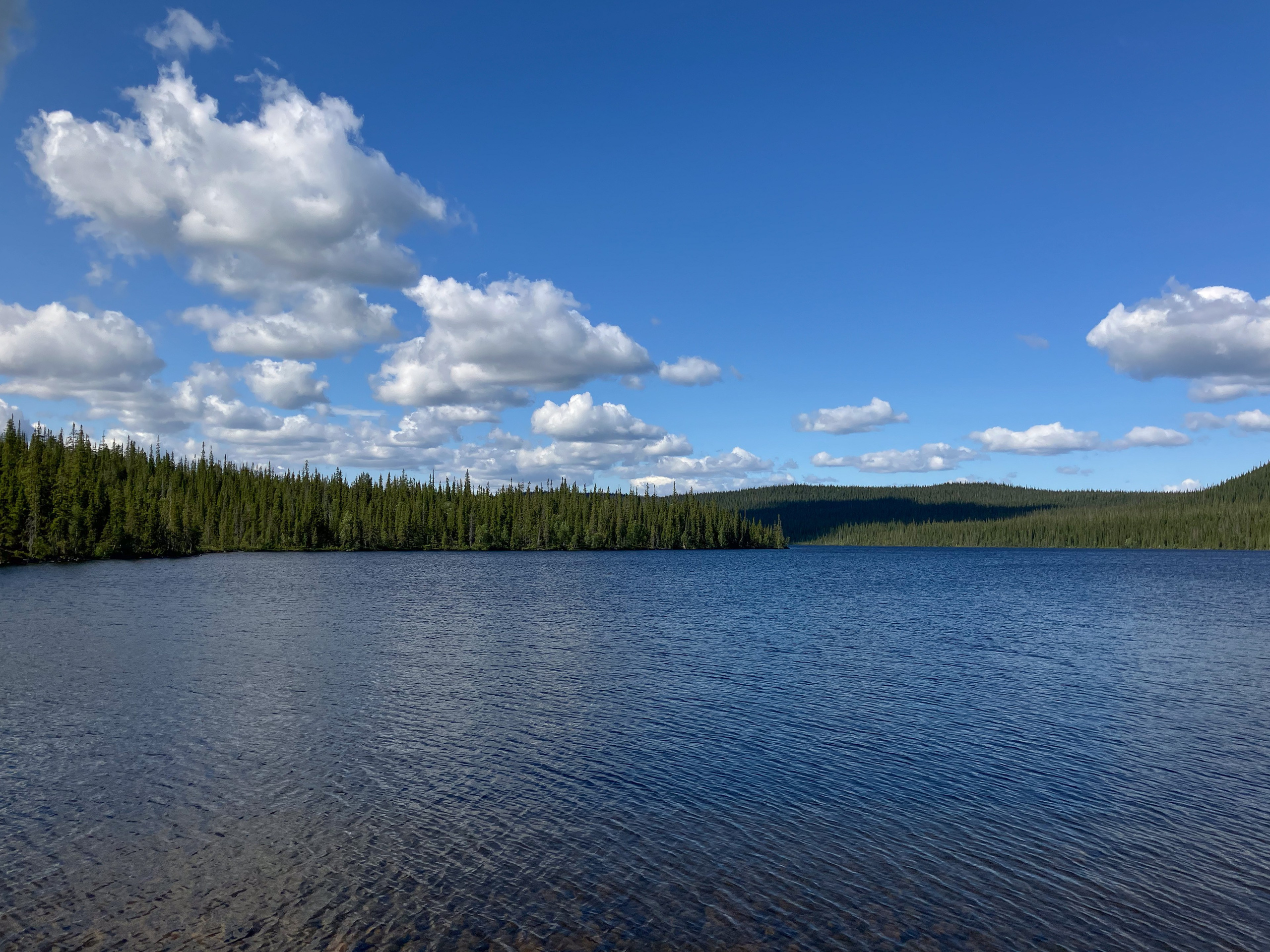 Первые задачи. Северные Ночи