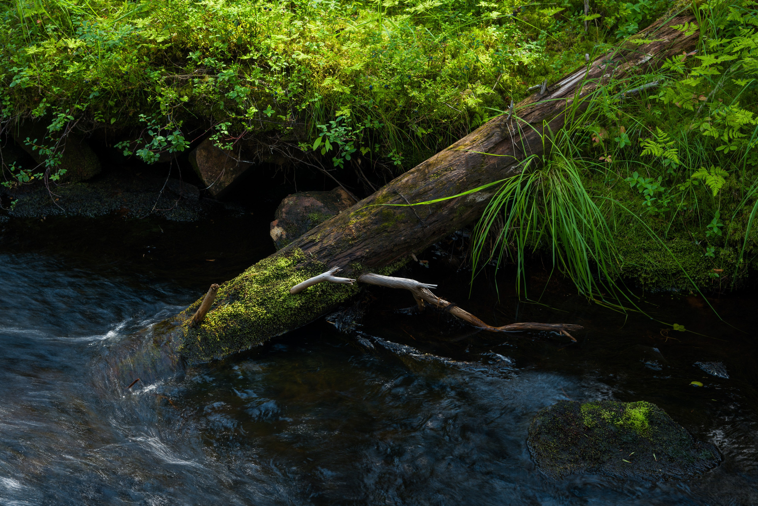 Лето. Северные Ночи