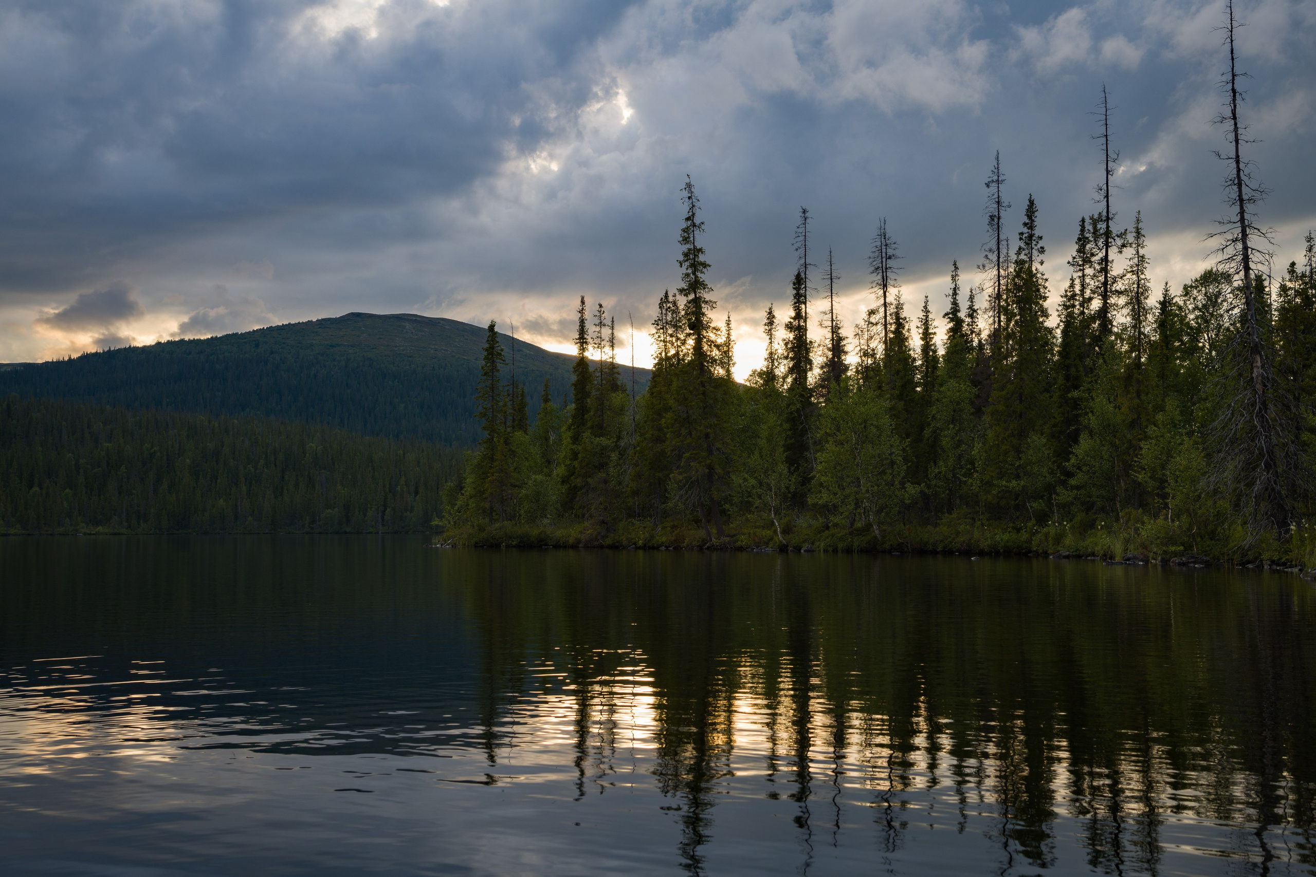 Лапландский заповедник. Northern Nights