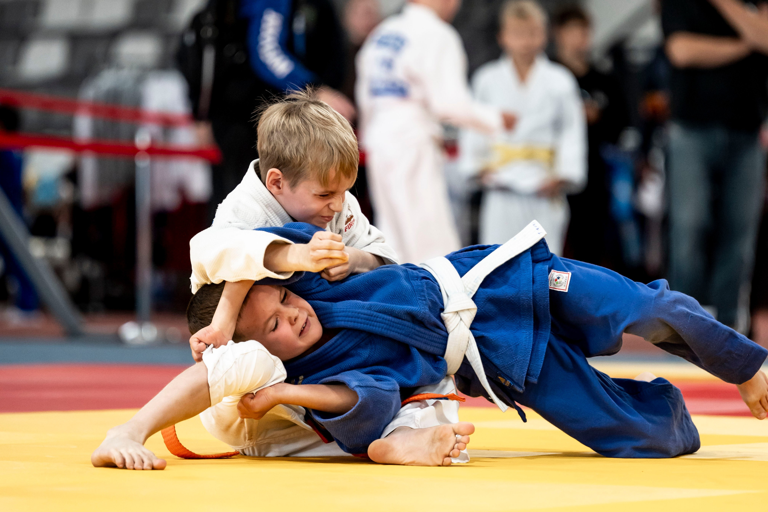 Турнир дзюдо. Тульский левша. Ноябрь, 2025. Спортивный фотограф в Туле и Тульской области. Файсханова Фото Спорт
