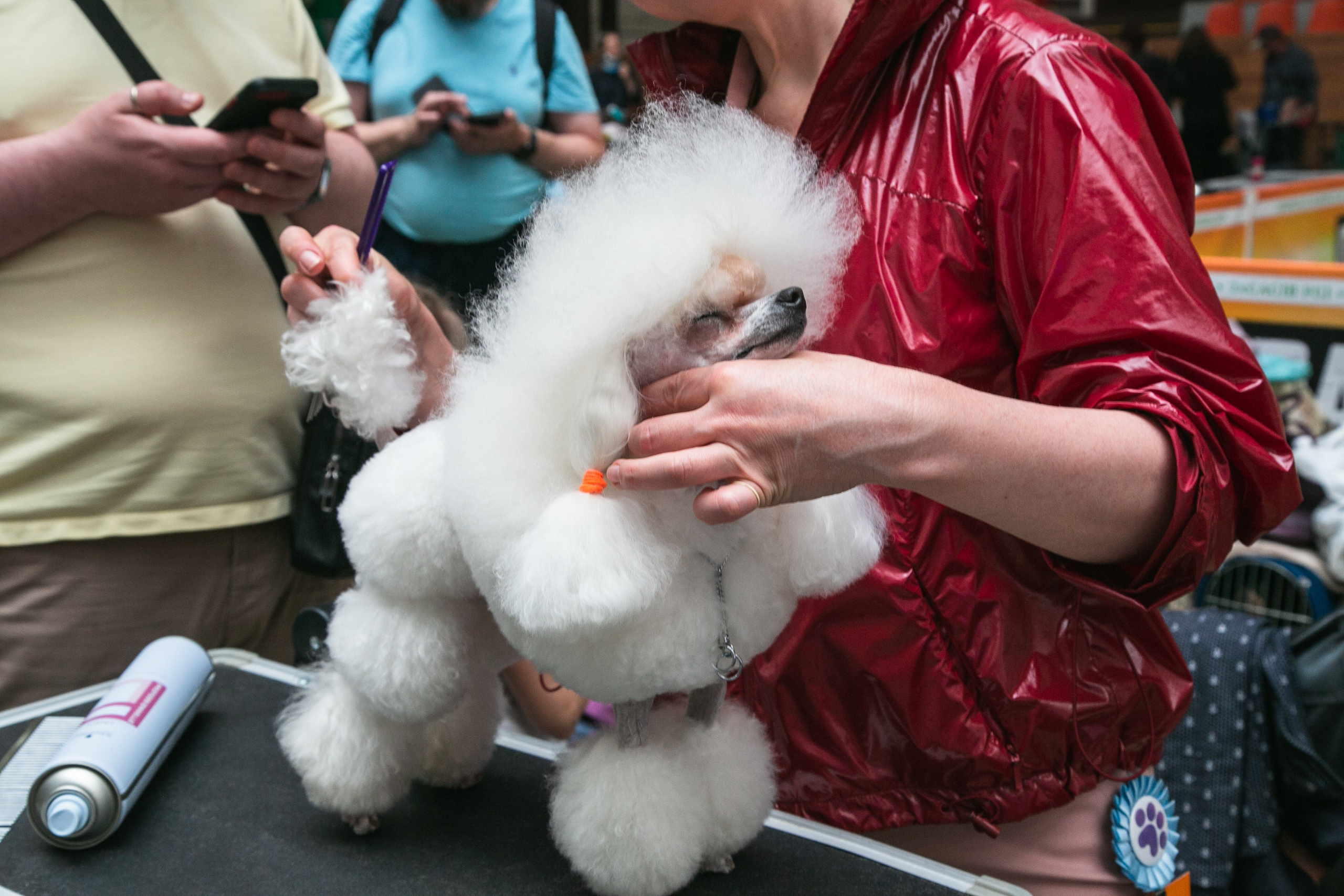 Выставки. Профессиональный фотограф Евгений Земцов в Москве. Контент съемка, репортаж мероприятий, бизнес портреты