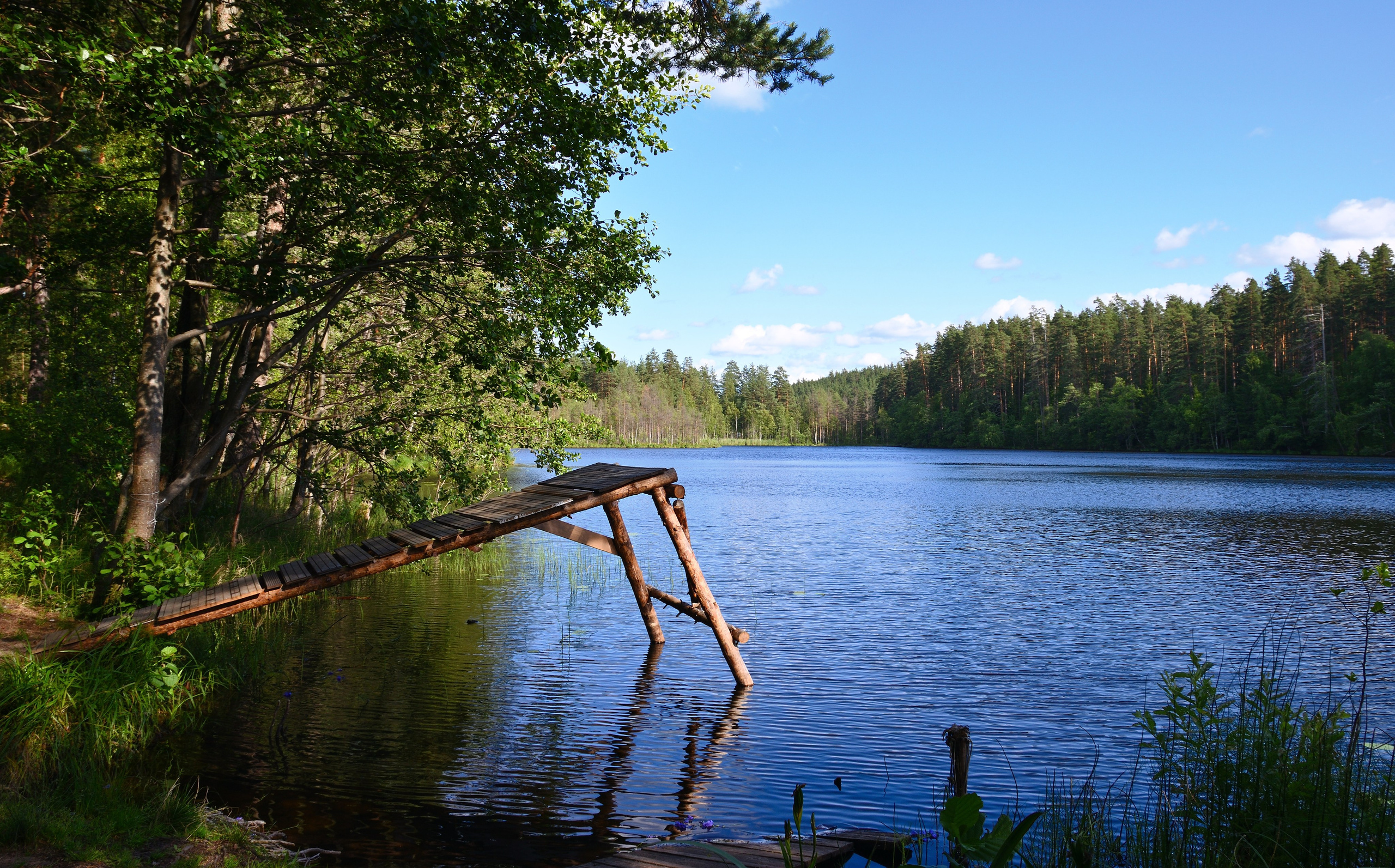 Пейзажи. Фотограф Максим Мицун. Портрет, свадьба, репортаж, каталог