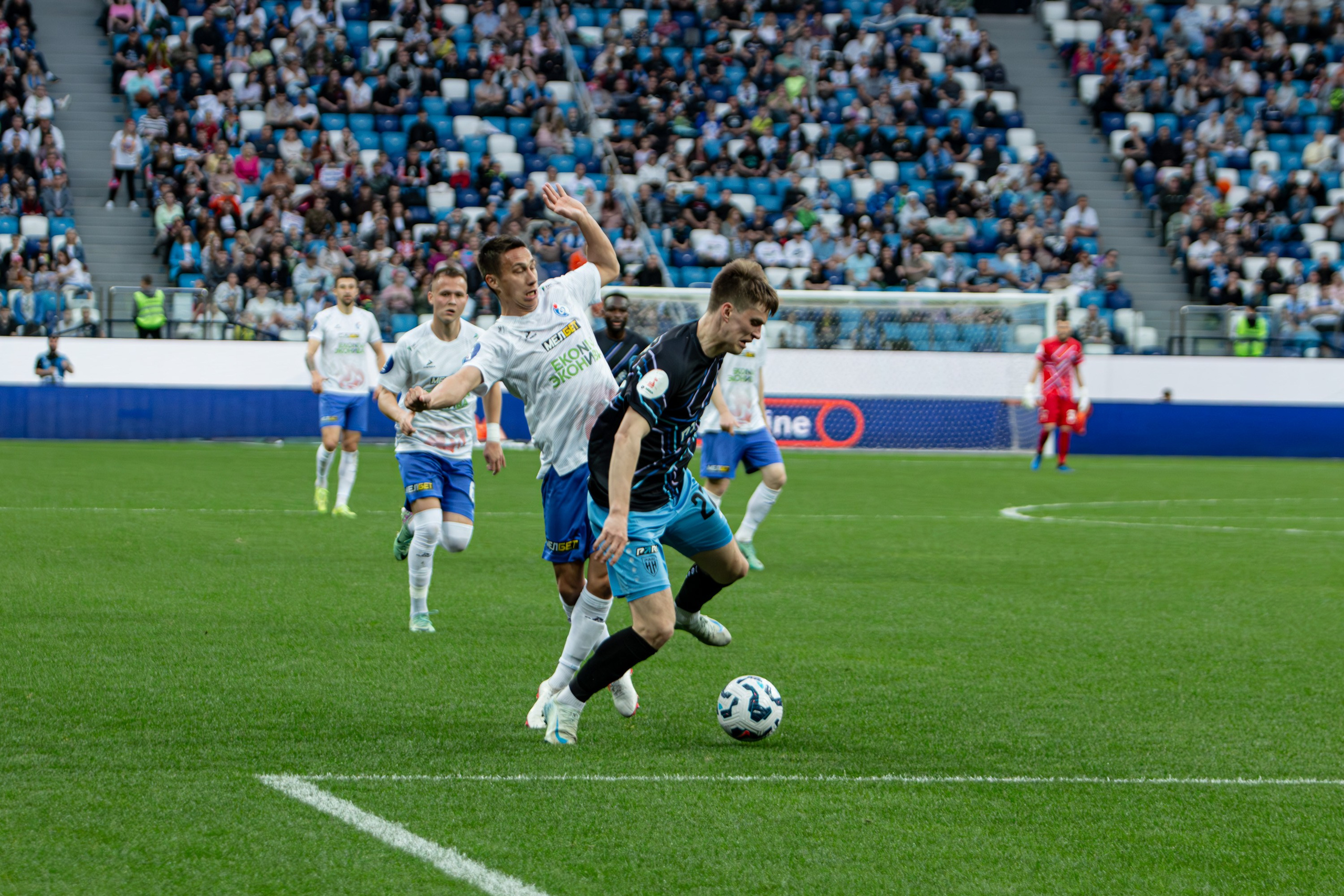 Пари НН — Факел. Спортивный фотограф в Смоленске — Екатерина Степенок