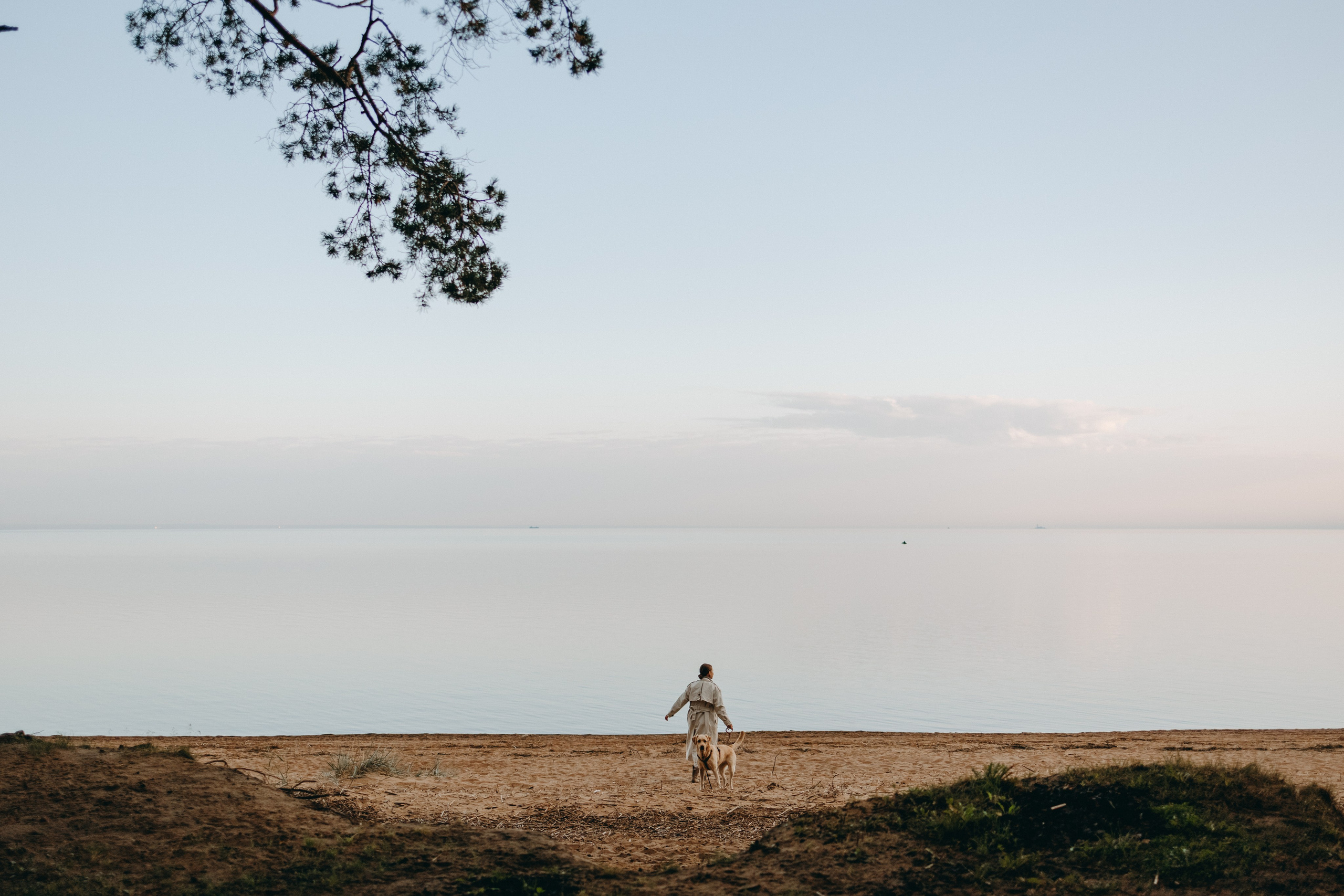 Наташа и Шани. Фотограф — Анималист | Санкт-Петербург