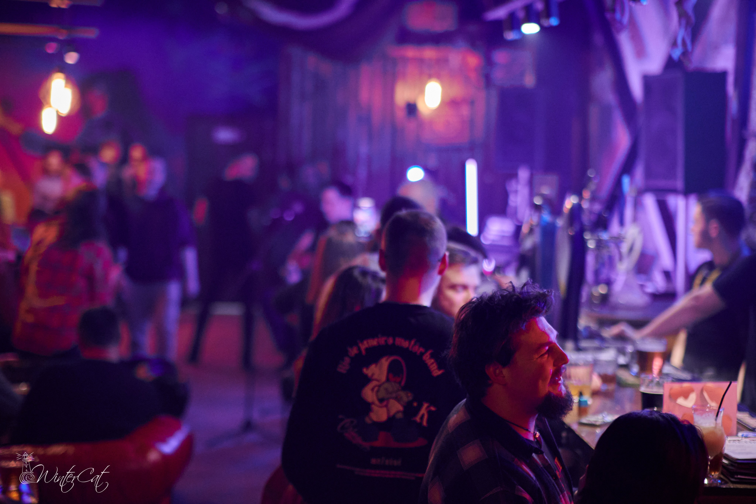 День Рождения Честер Четыре Года. Портретный и репортажный фотограф в Магадане Андрей Нефедов WinterCatPhoto