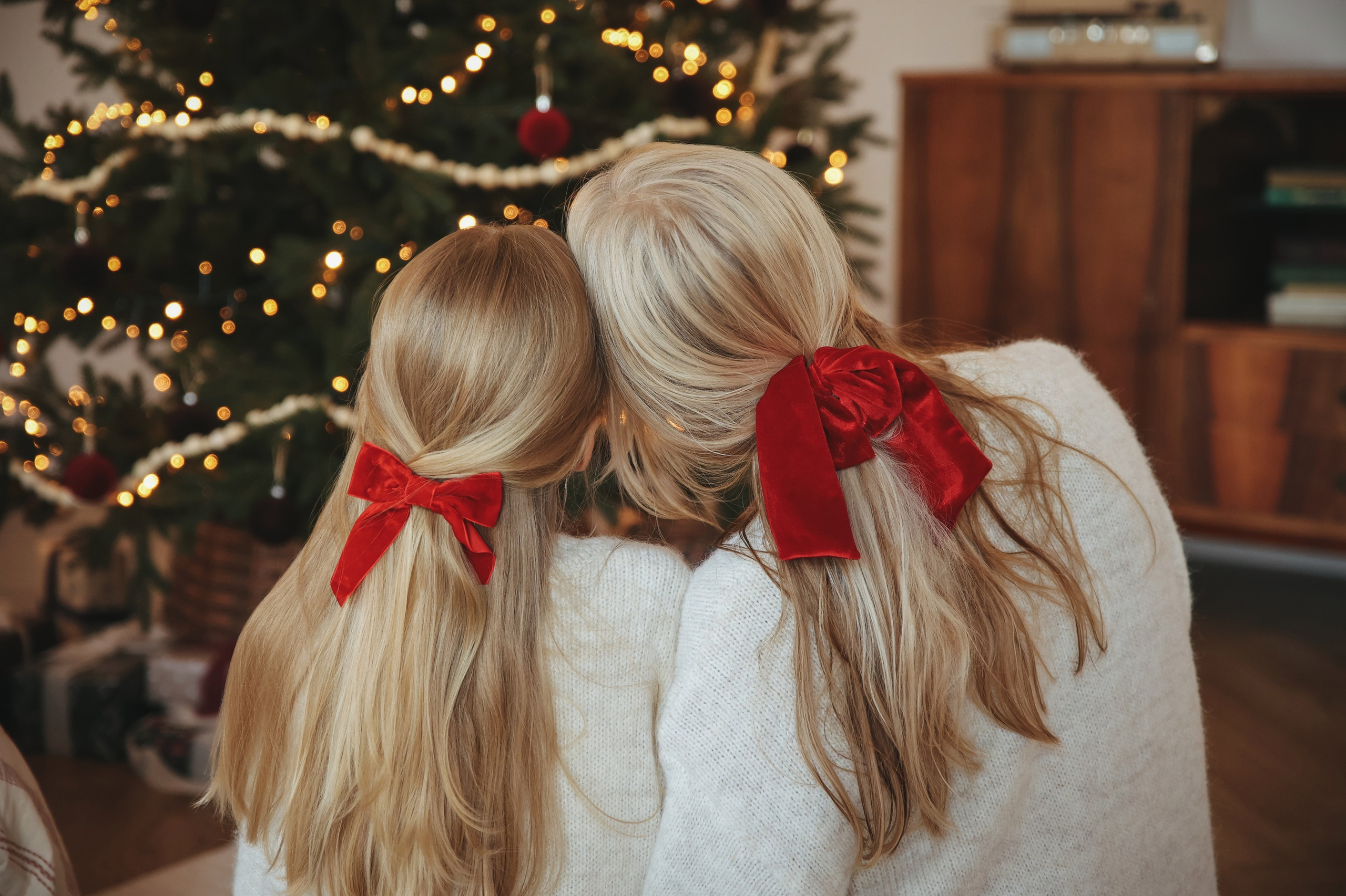 Новогодняя фотосессия во Владимире съемка на новый год фотосессия в студии фотограф во Владимире фотограф в Москве корги. Фотограф Владимир Москва