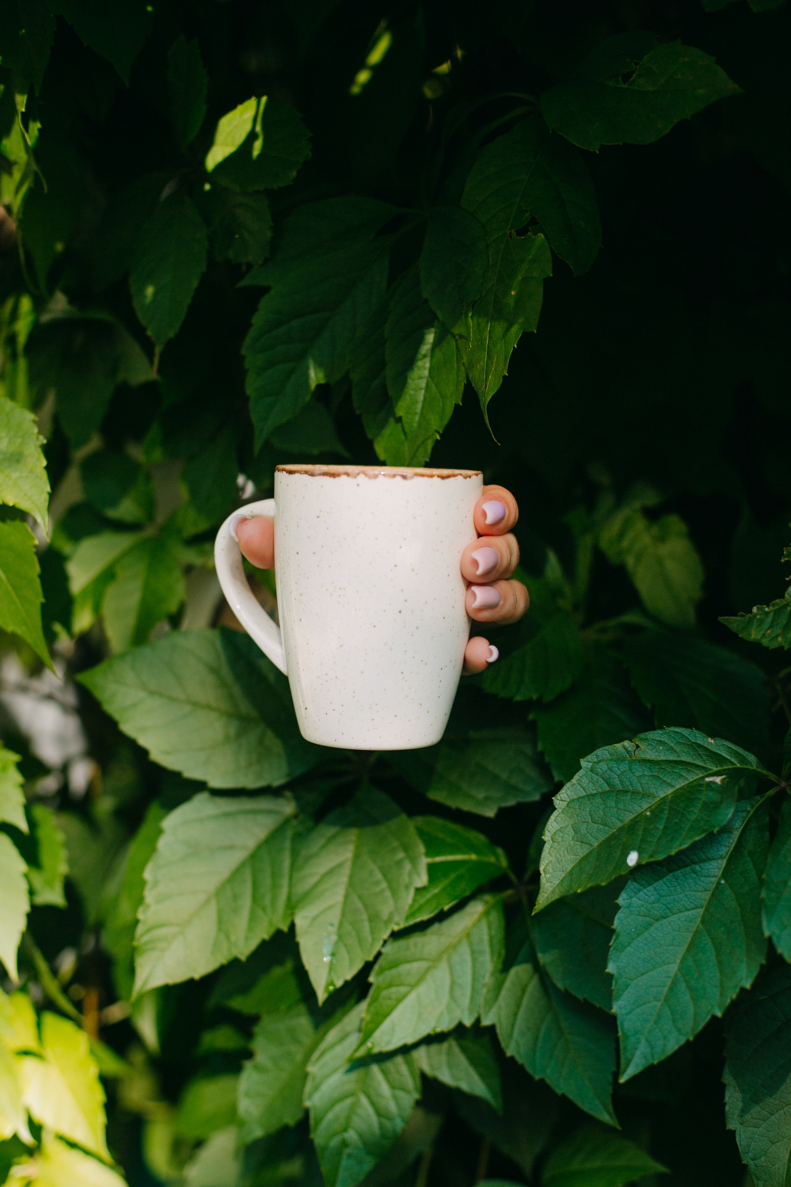 Заведения. Фуд фотограф новосибирск