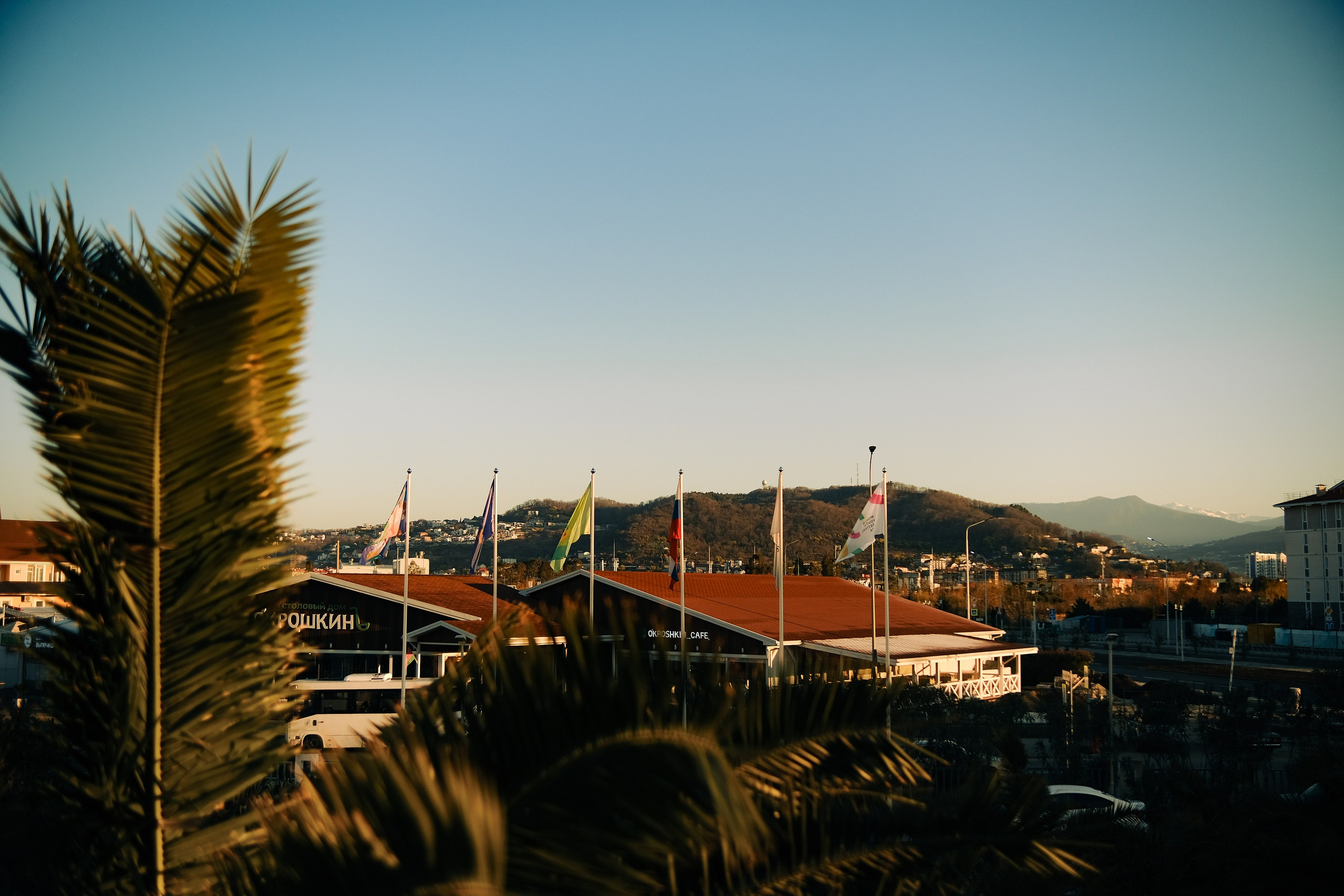 Всемирный Фестиваль молодёжи в Сочи. Обо мне