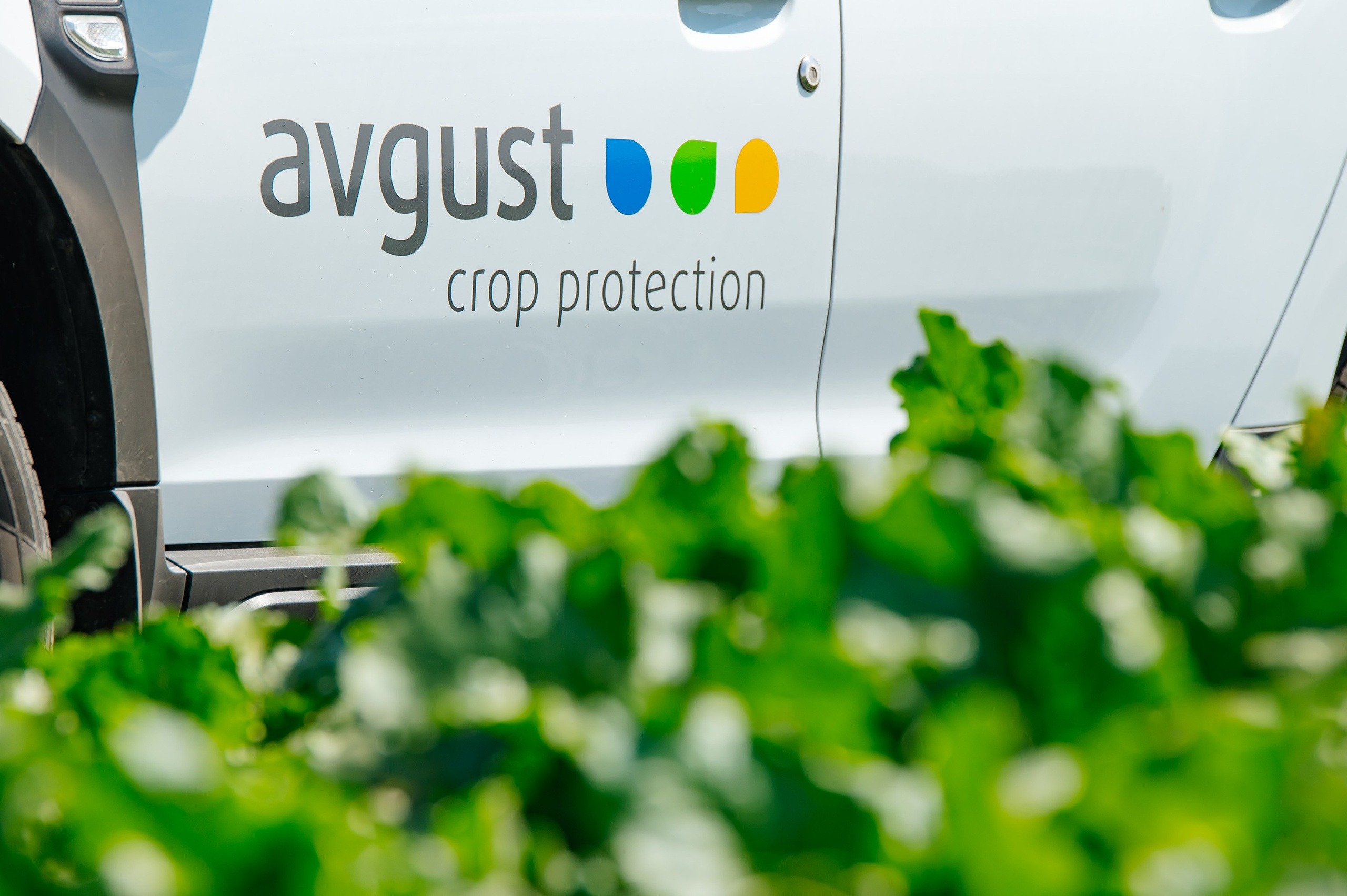 День поля. Главная