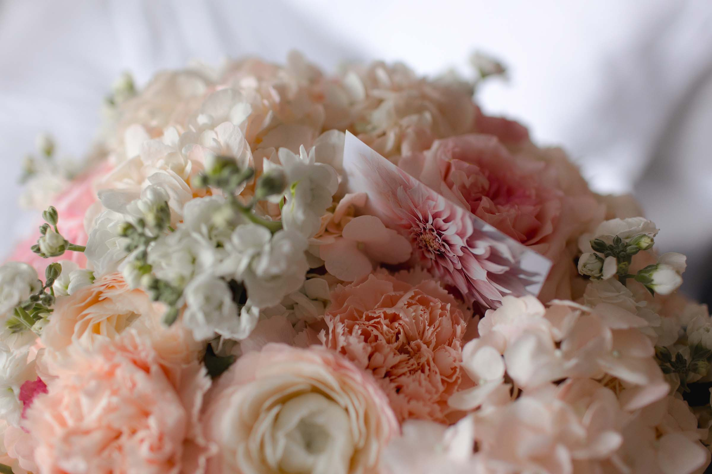 Стелла + Максим. Вова Петров