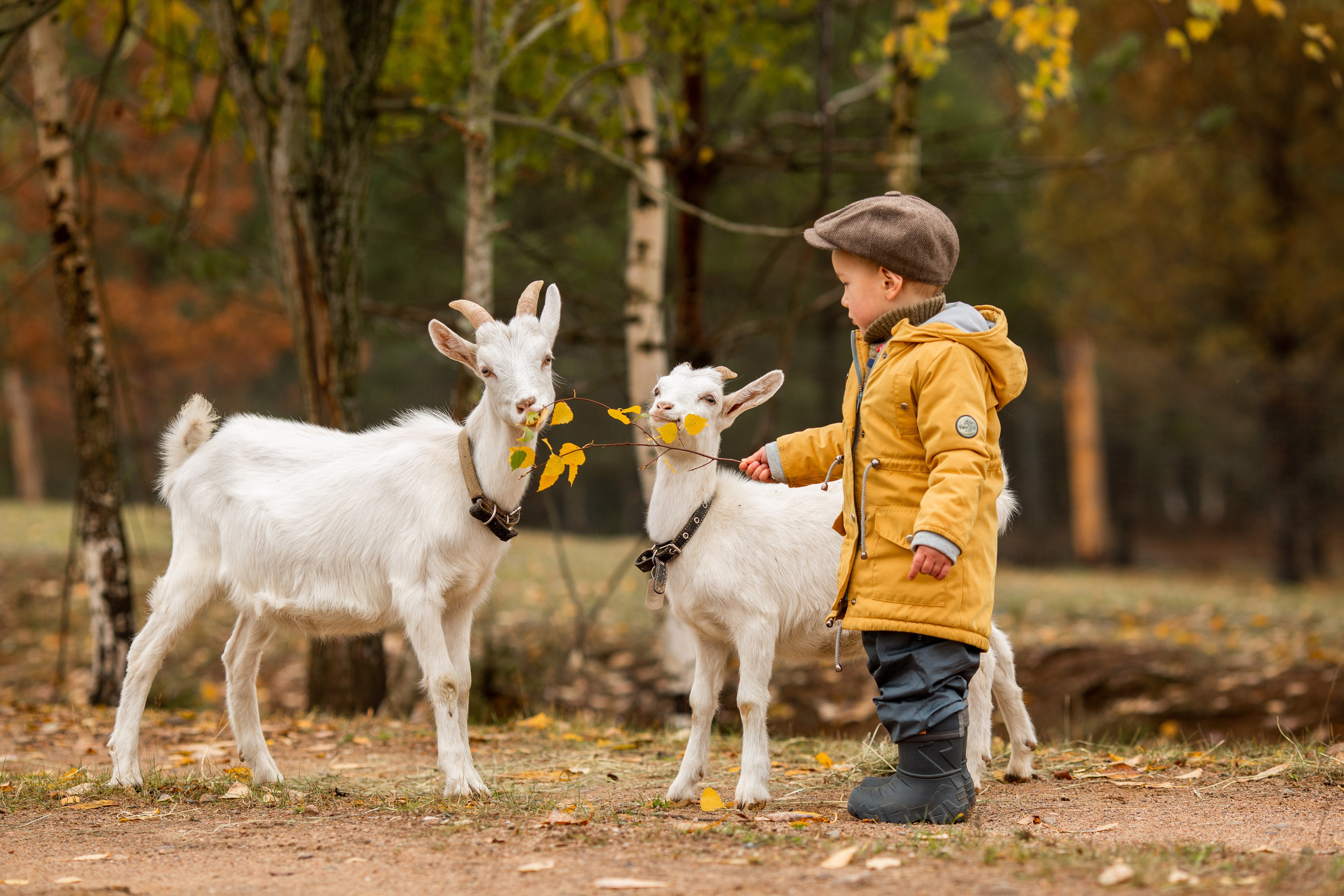 Фотограф Звенигород, Одинцово, Голицыно, семейный фотограф, фотосессия. Фотограф Олеся Бакалина
