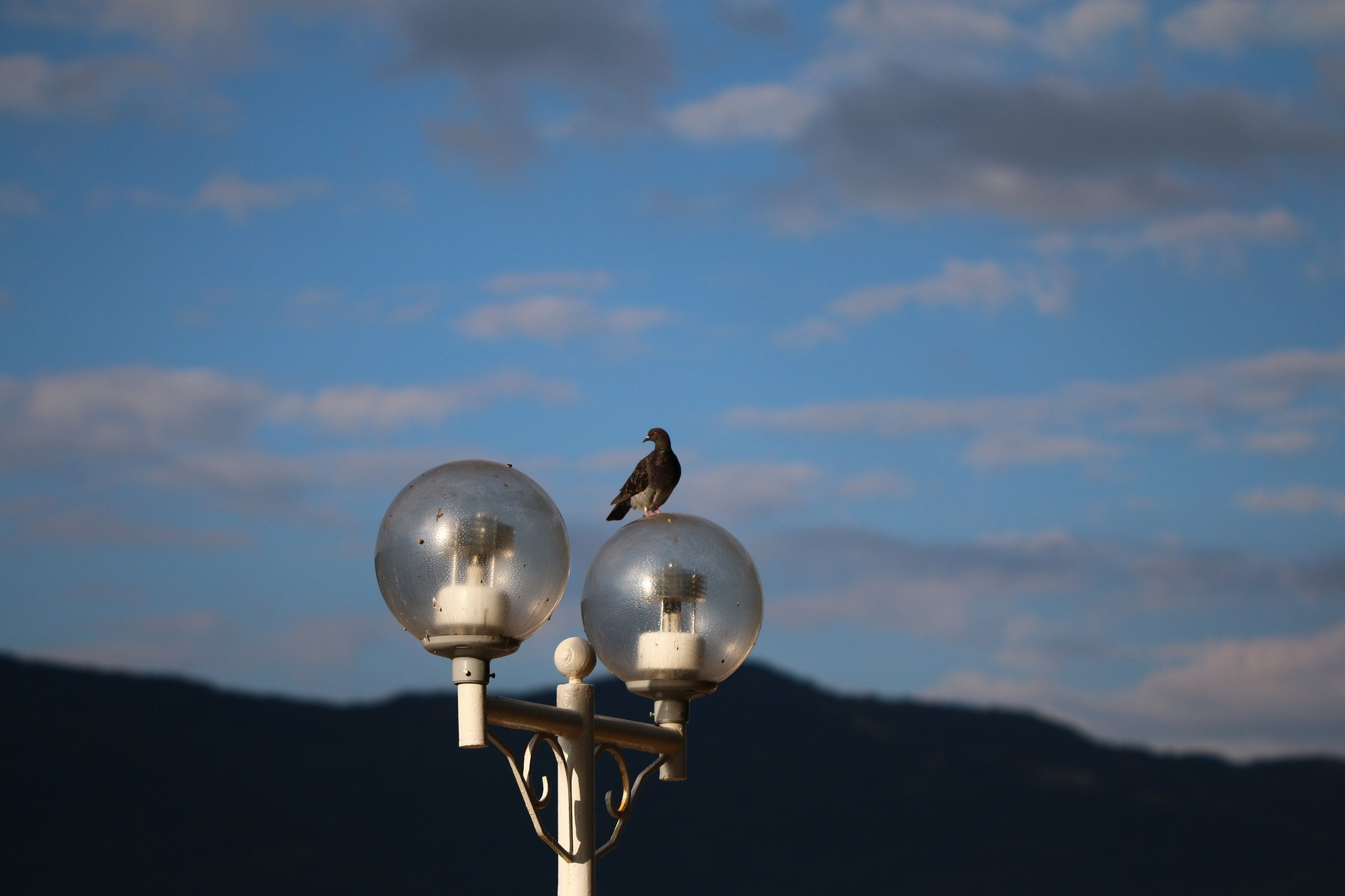 Геленджик 2016 г. Улица, люди, жизнь…