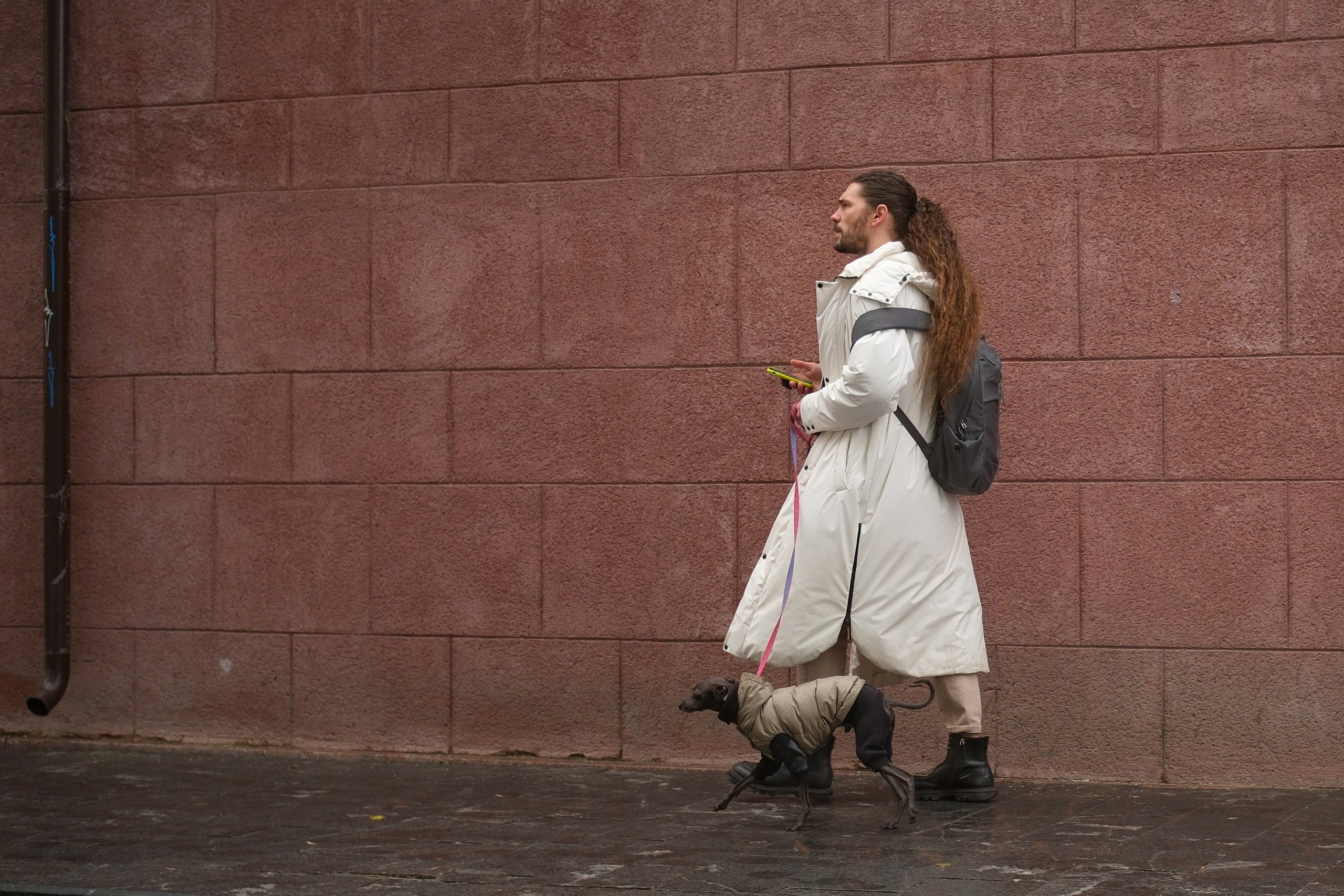 Улица, люди, жизнь…