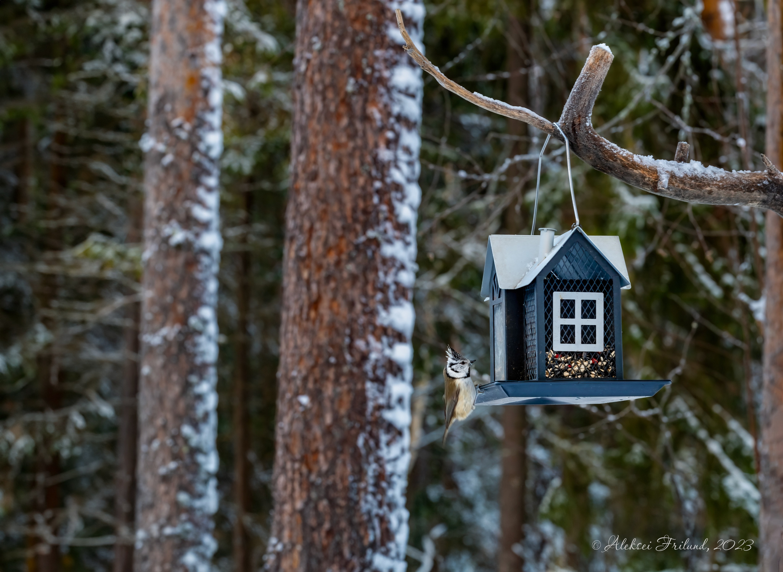 Природа Карелии. Аэросъемка. Фото и Видео в Карелии. Алексей Фрилунд