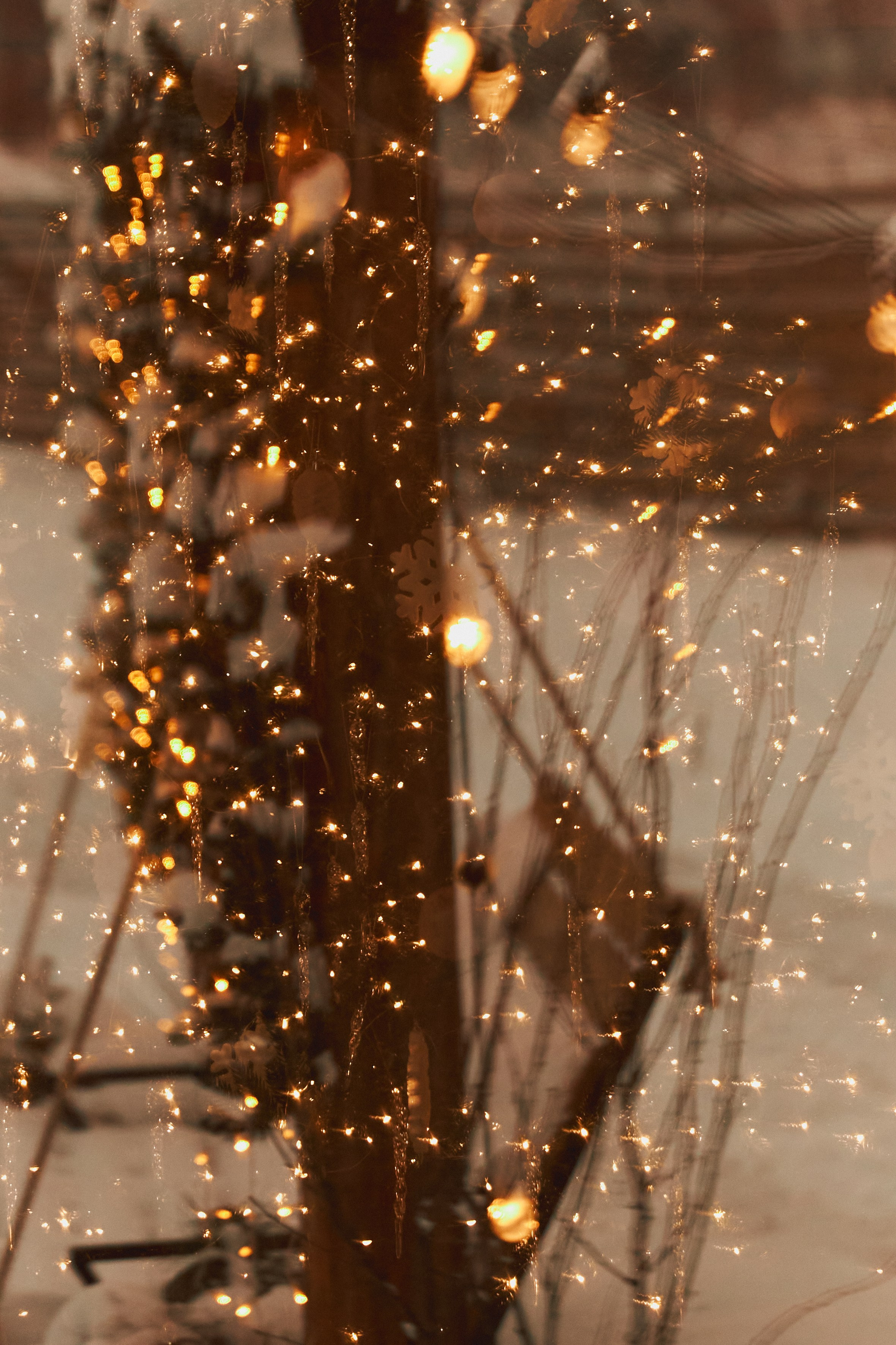 Мед и Дерево. Семейный и свадебный фотограф Лилия Матонина | Ангарск, Иркутск, Усолье-Сибирское, Байкал (Листвянка, Ольхон), Иркутская область