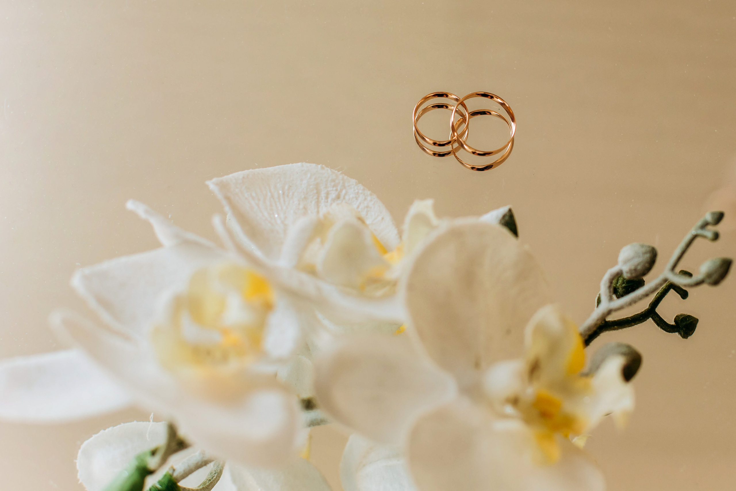 • Анжелика & Артур •. Семейный и свадебный фотограф в Воронеже Майя Добровольская