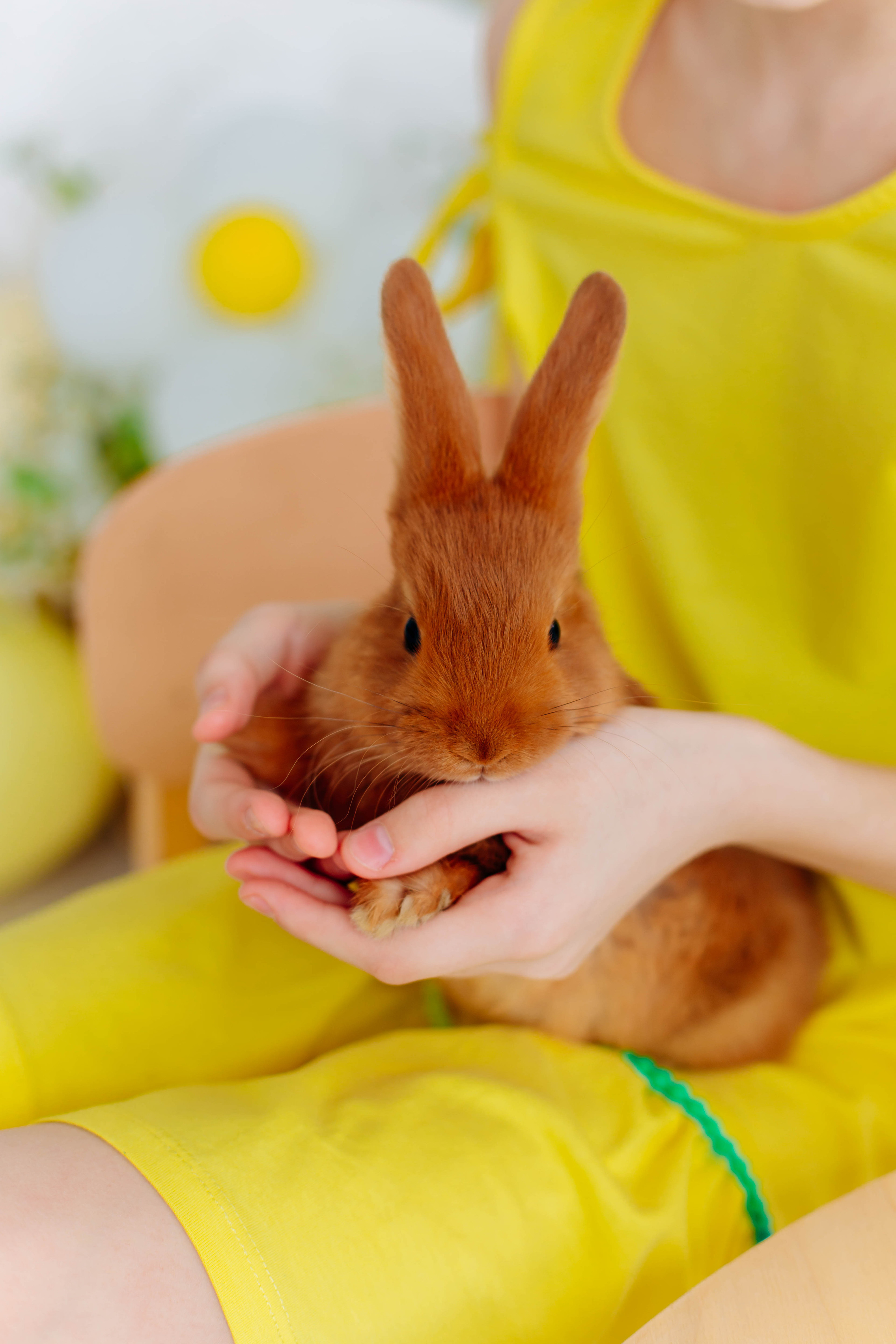 Лиза (Пасхальные истории). Семейный и свадебный фотограф в Воронеже Майя Добровольская