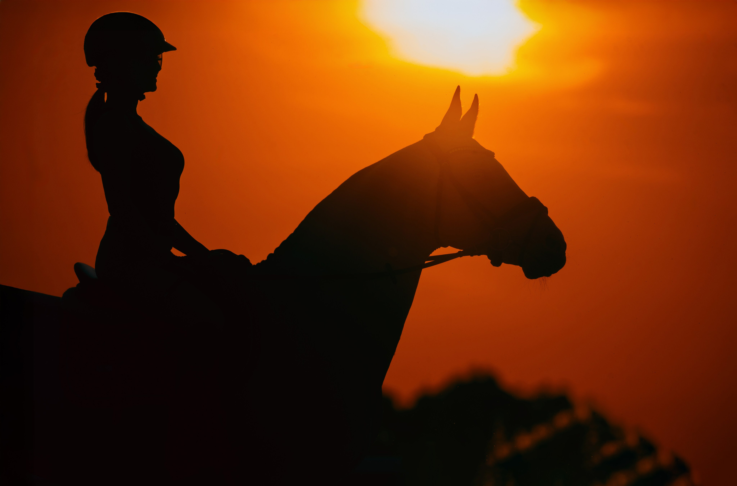 Тренировки. Фотограф-анималист Ксендзова Кристина
