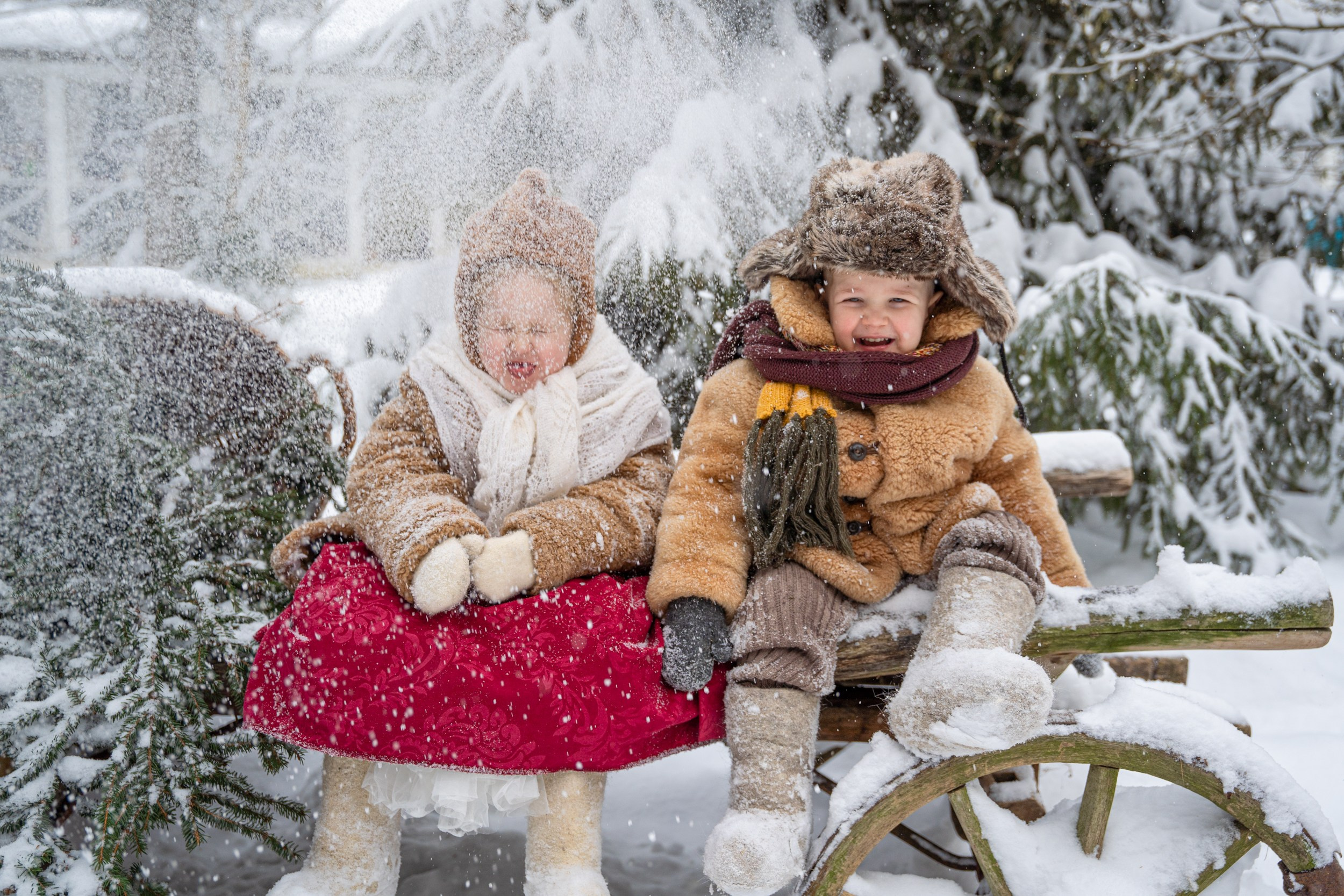 Лесное. Главная