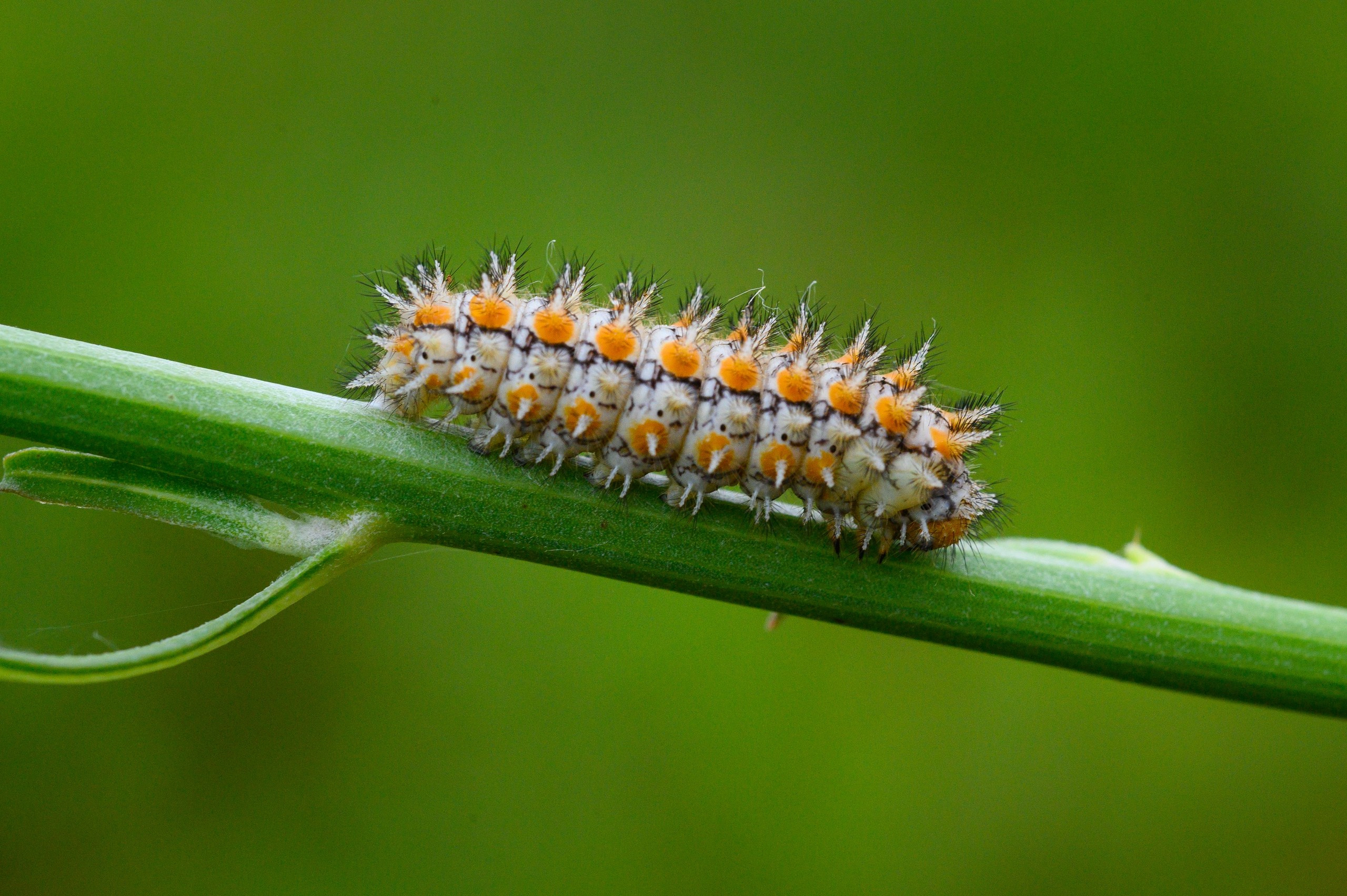 Фотопленэр на болоте. Фотообъединение Самарского областного отделения Союза журналистов России