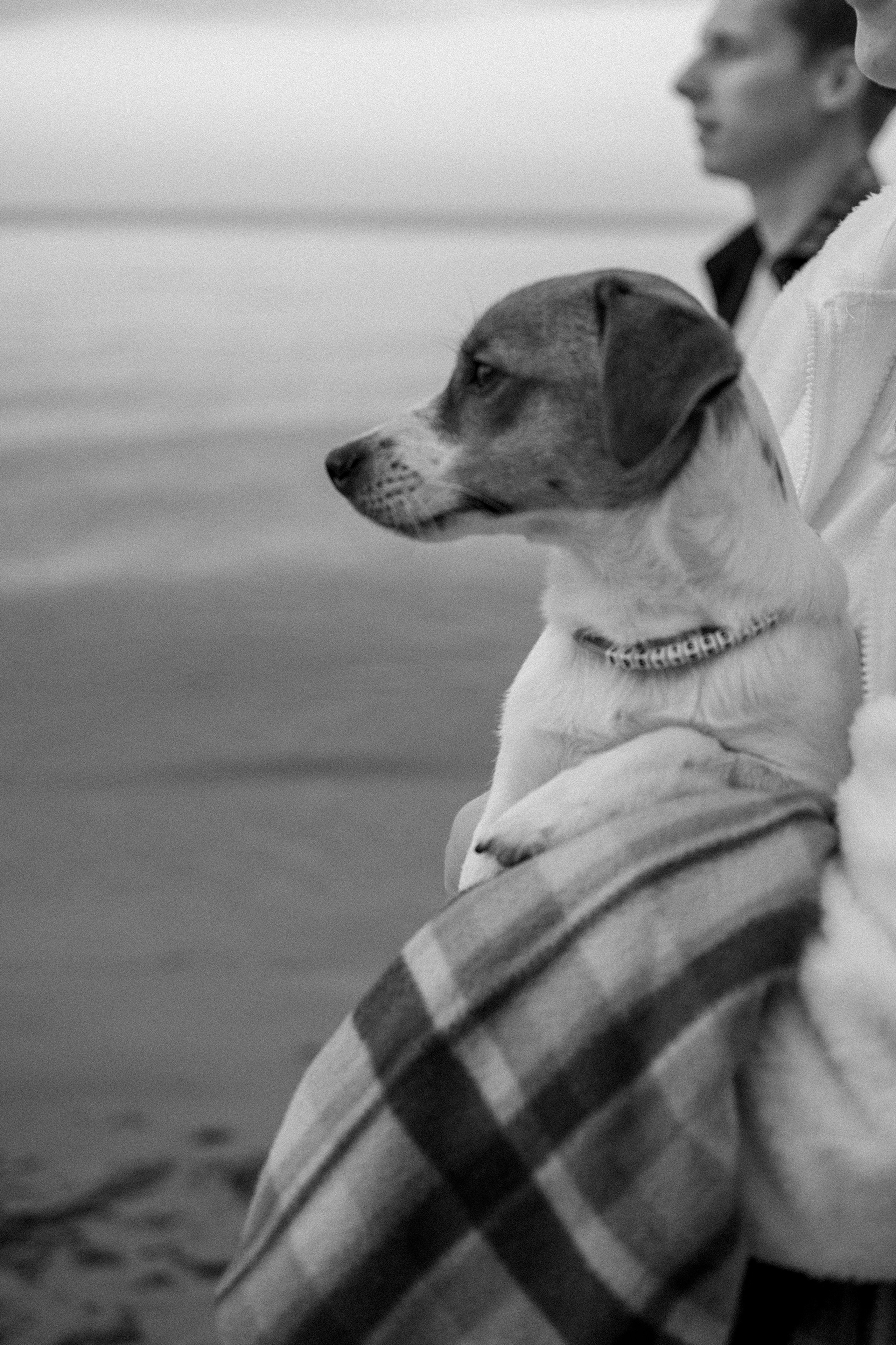 Лея и ее семья. Фотограф — Анималист | Санкт-Петербург