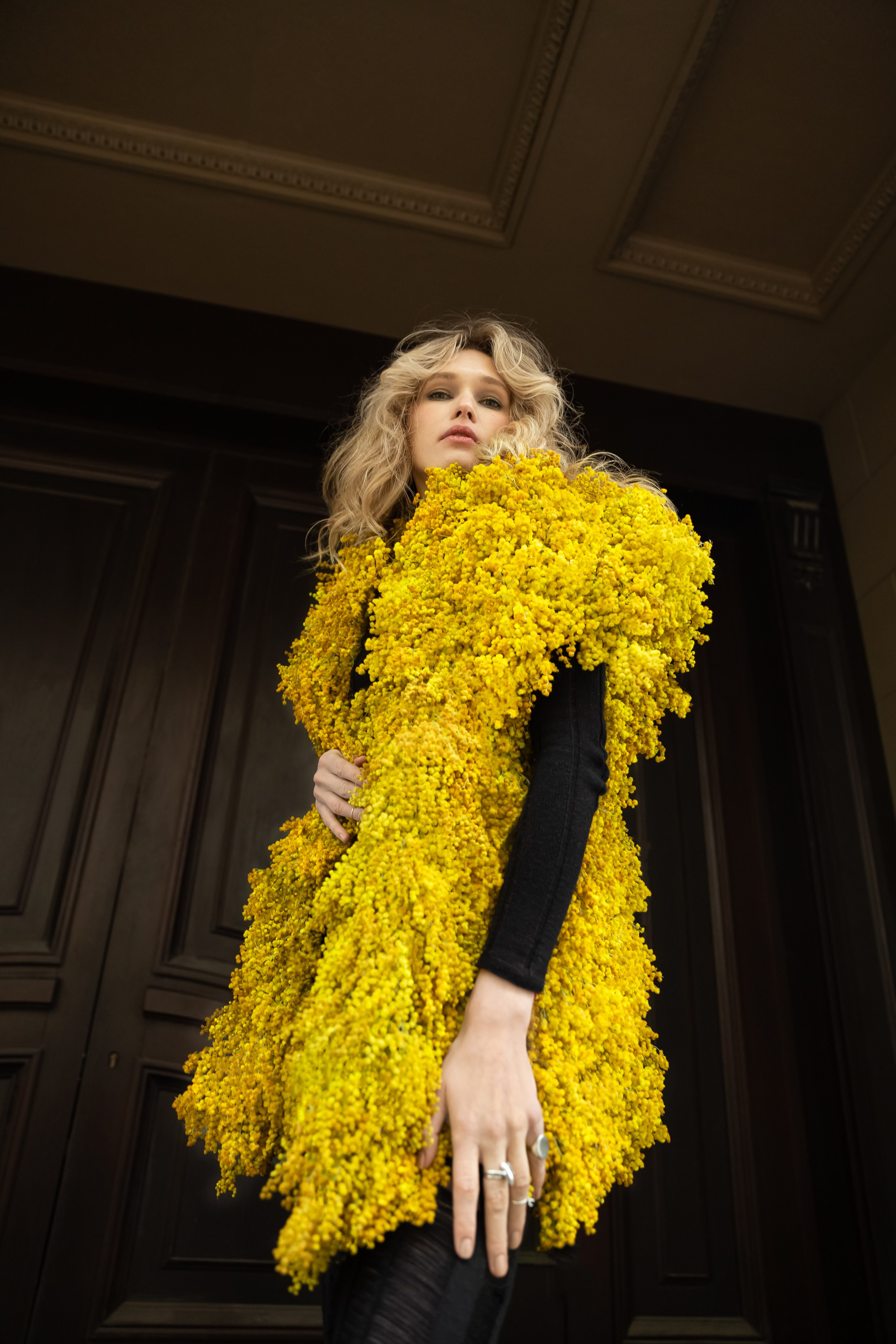 Mimosa outfit. Профессиональный фотограф Инесса Новикова в Москве