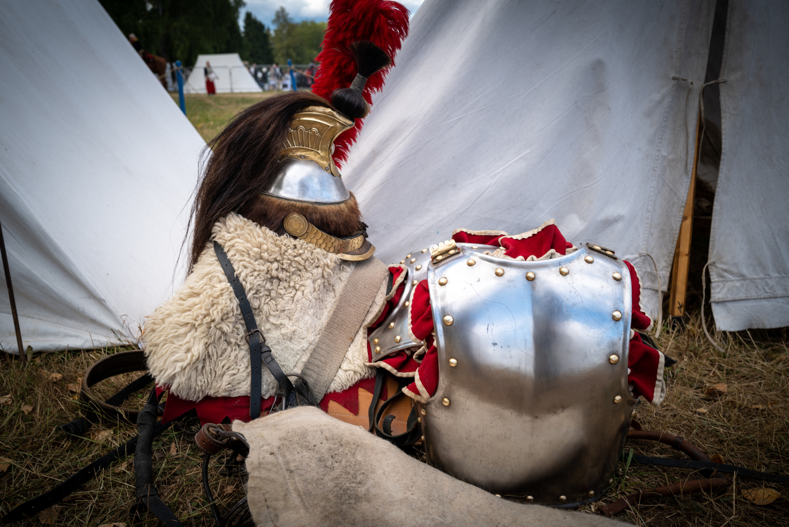 День Бородина — 2022. Сайт фотографа Сергея Абрамова