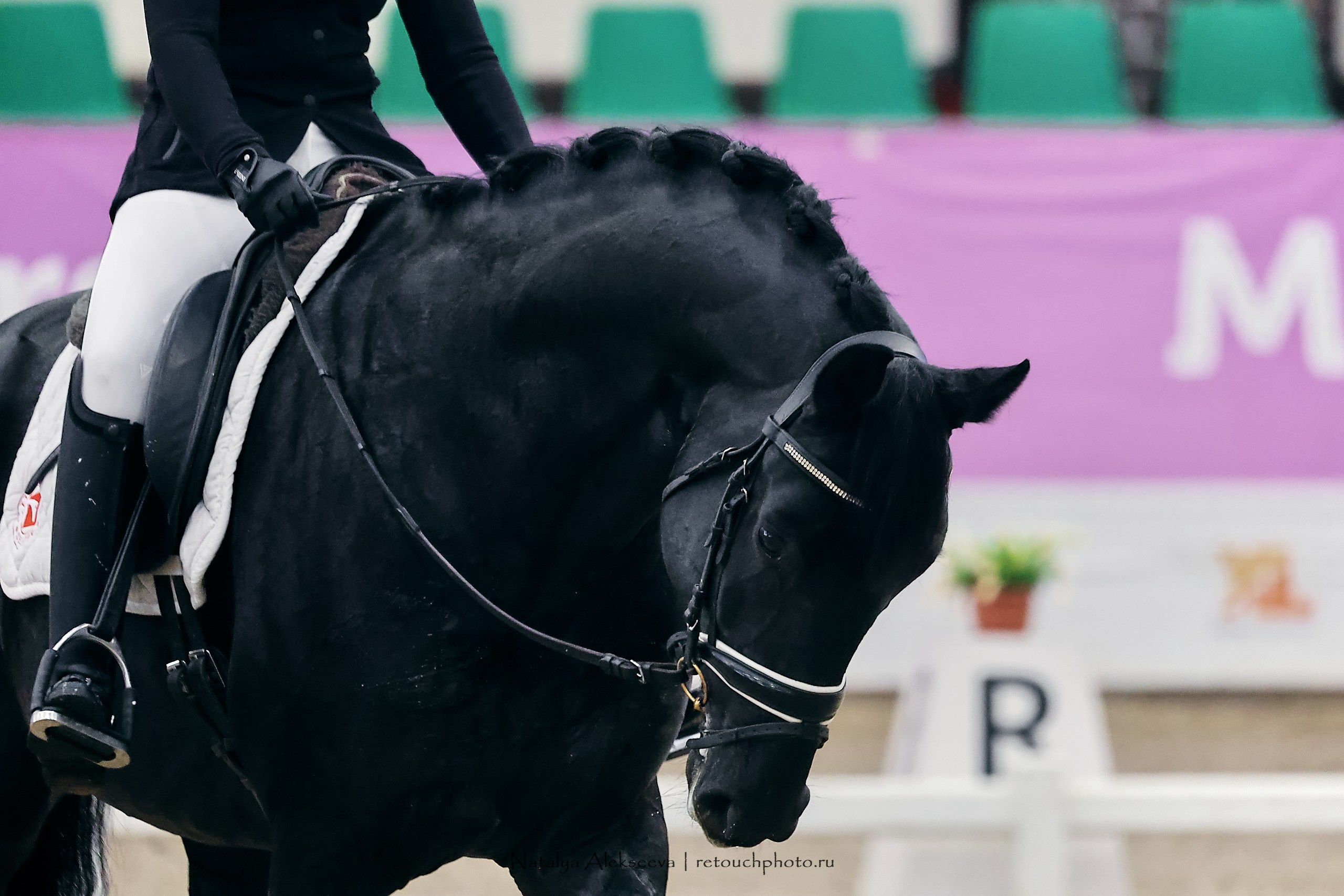 Maxima Masters Eurasia по выездке, Maxima Stables | 12'2023. Репортажный фотограф и ретушер в Москве Наталья Алексеева