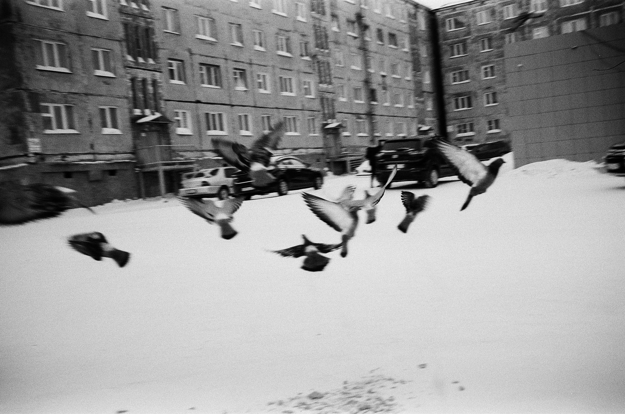 Северные души