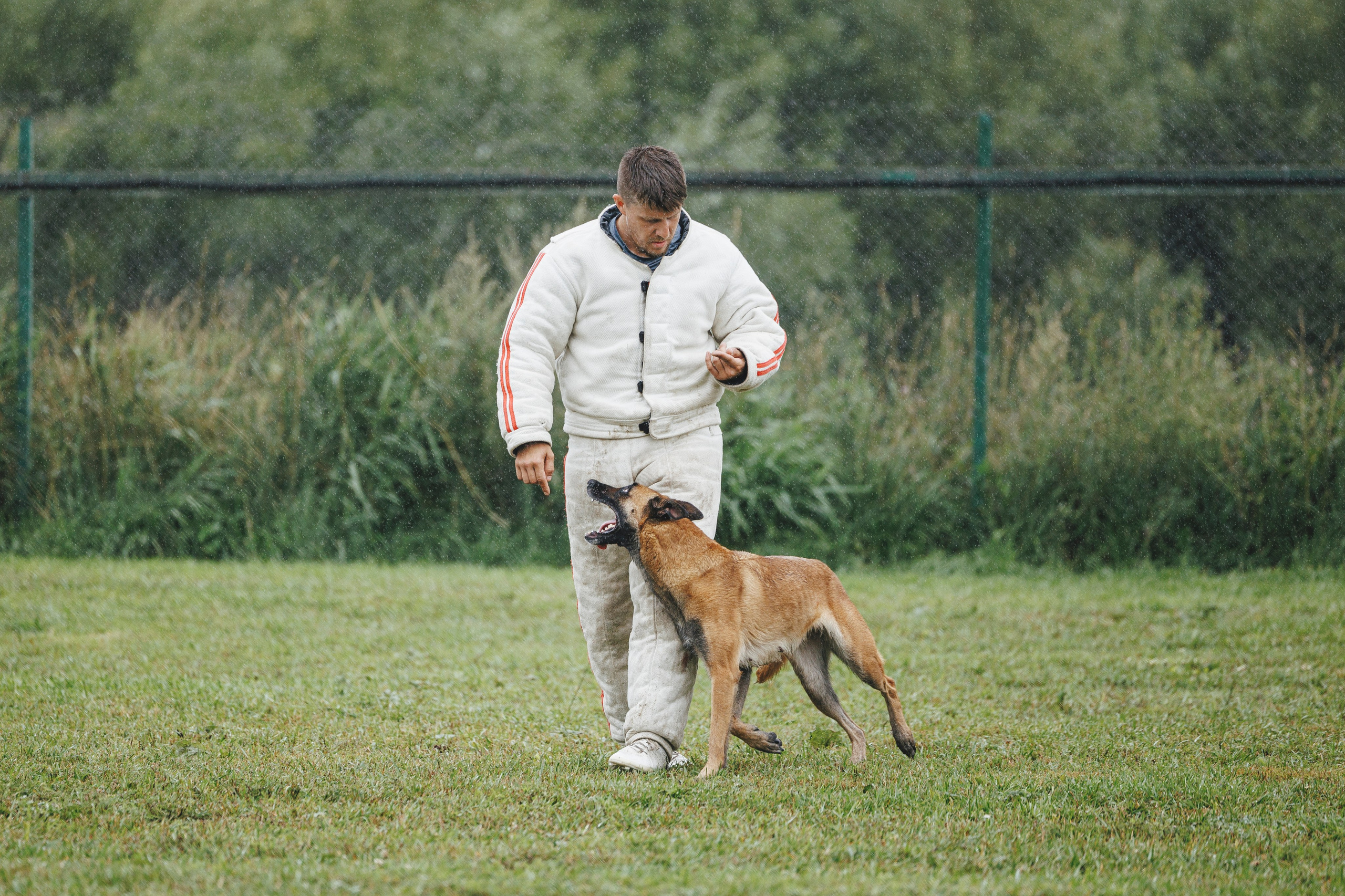 08.08.25-10.08.25 ЧР по мондьорингу г. Вологда. Фотограф-анималист Анна Маринич